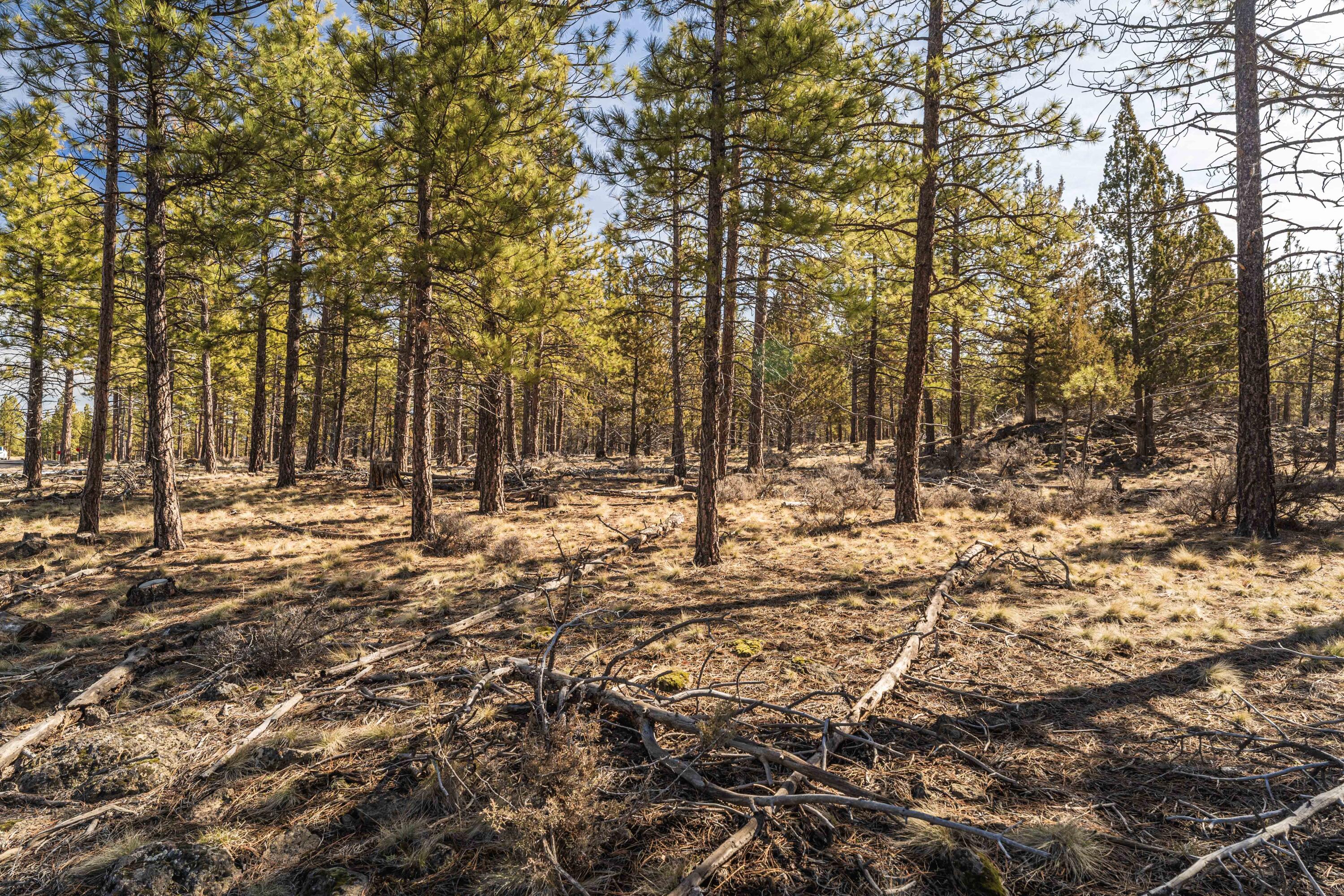 Skyline Ranch - Land