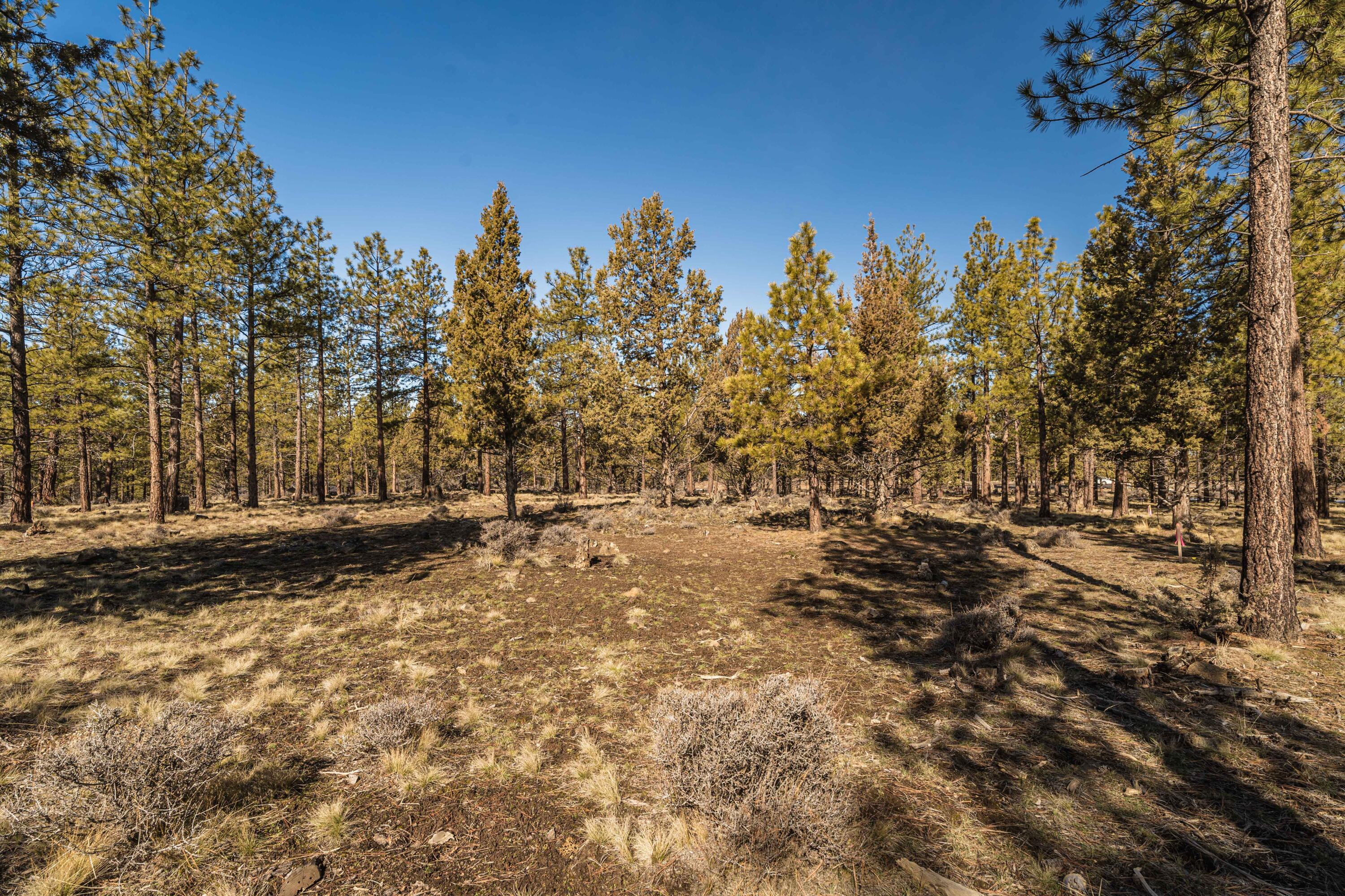 Skyline Ranch - Land
