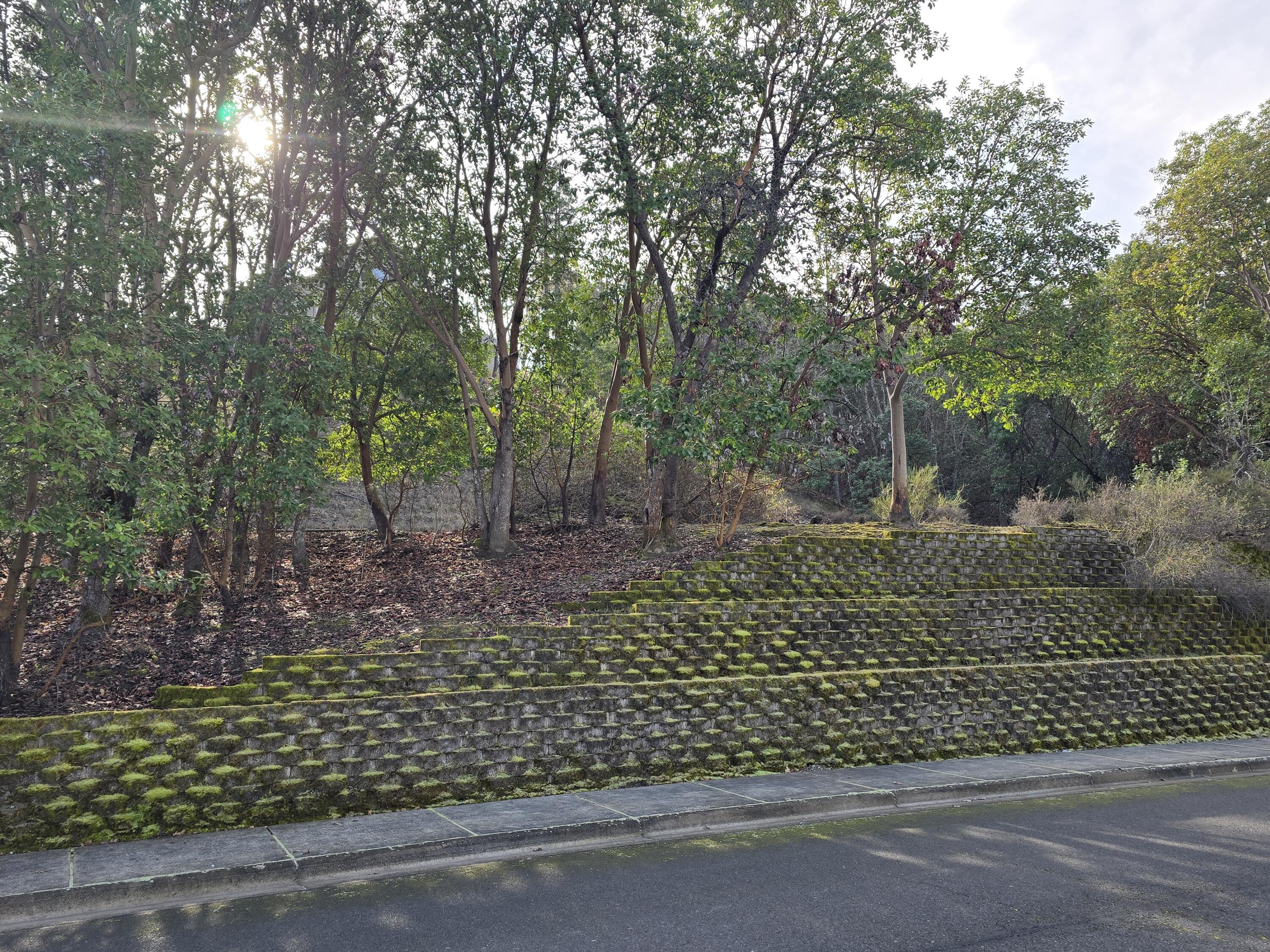 Meadow Wood Subdivision - Land