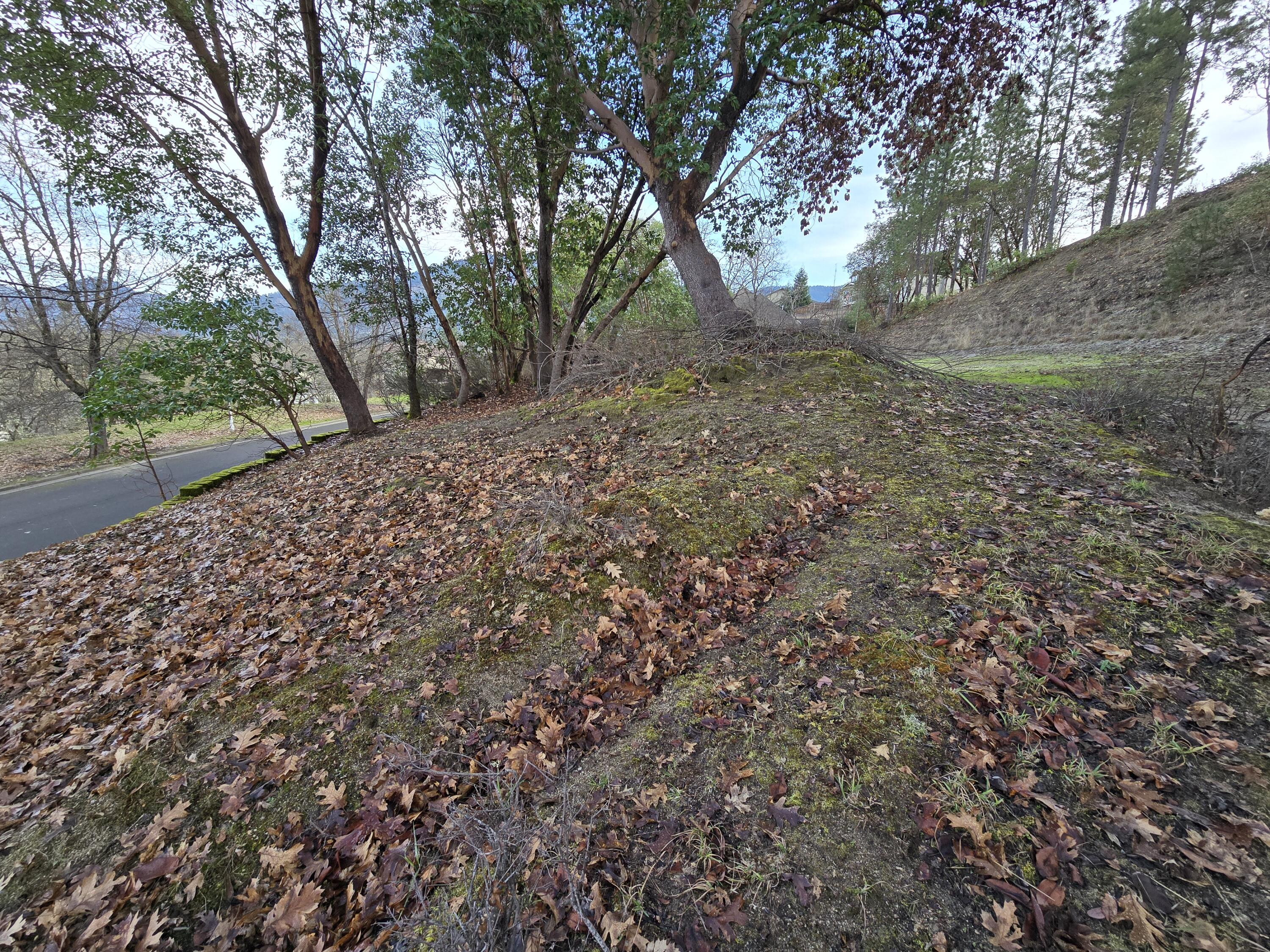 Meadow Wood Subdivision - Land