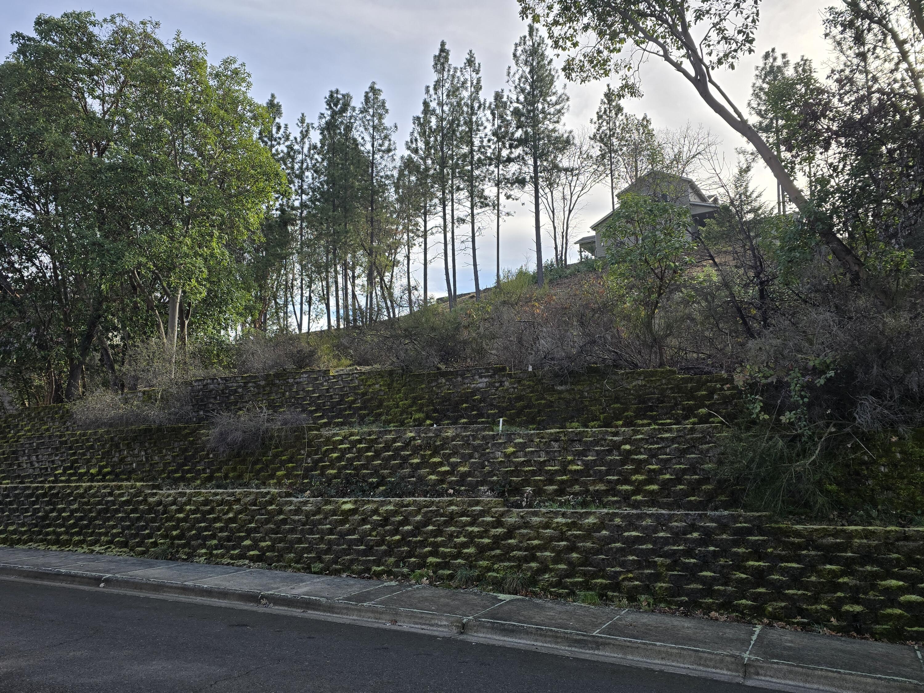 Meadow Wood Subdivision - Land