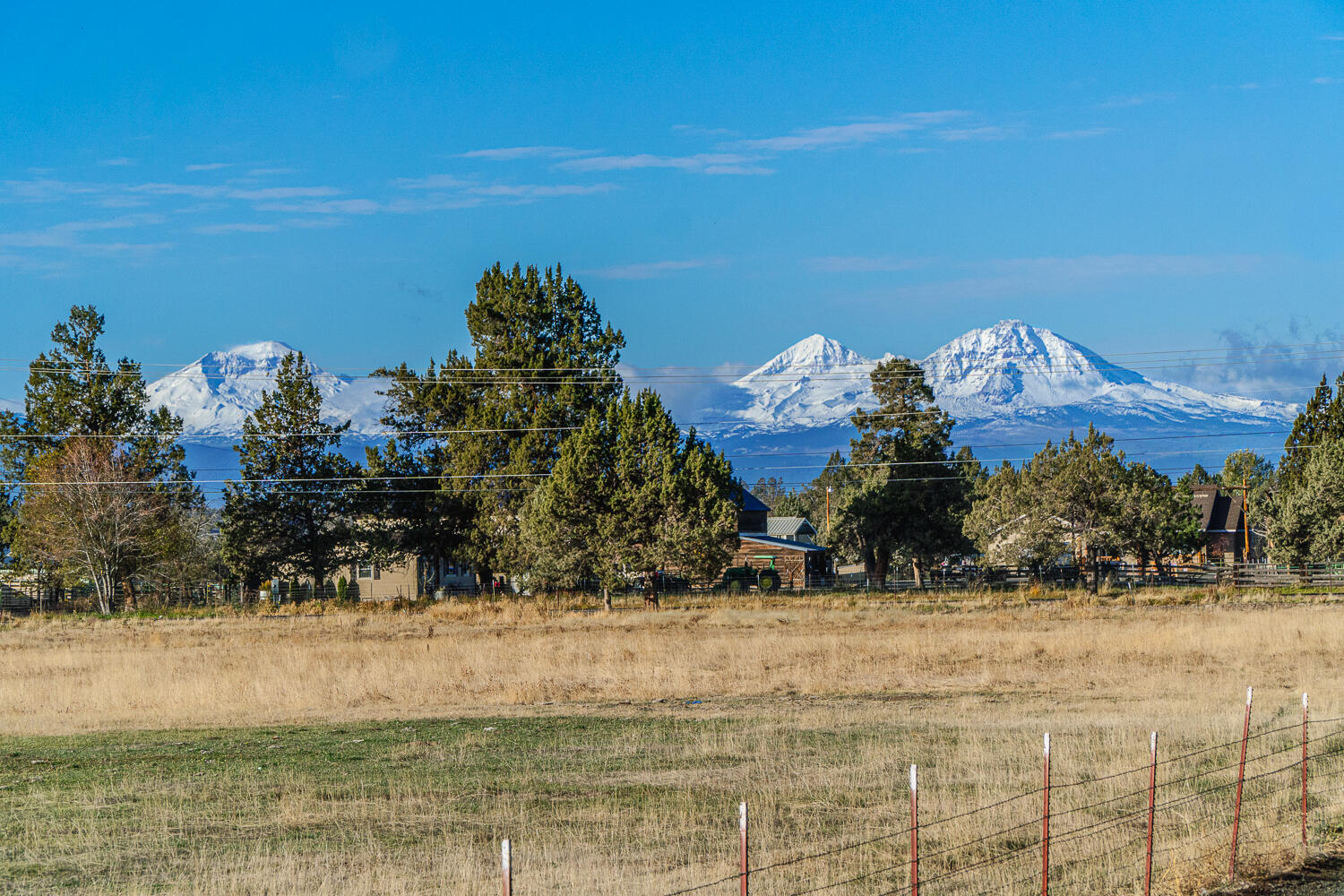Josie Meadows - Residential