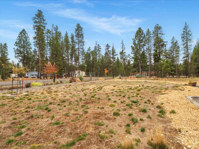 Forest View - Residential