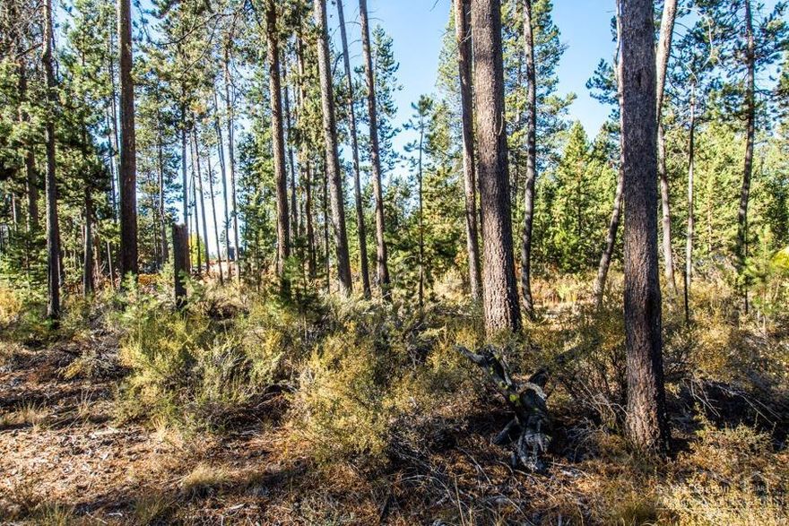 Ready for your custom design. This large, moderately-treed lot offers a flat and easy build. Private setting in the pines just minutes from Sunriver and Bend. Enjoy unlimited recreational activities outside your front door!