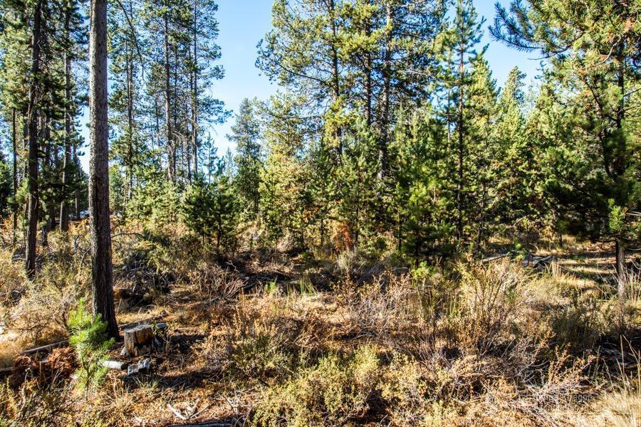 Vandevert Acres - Land