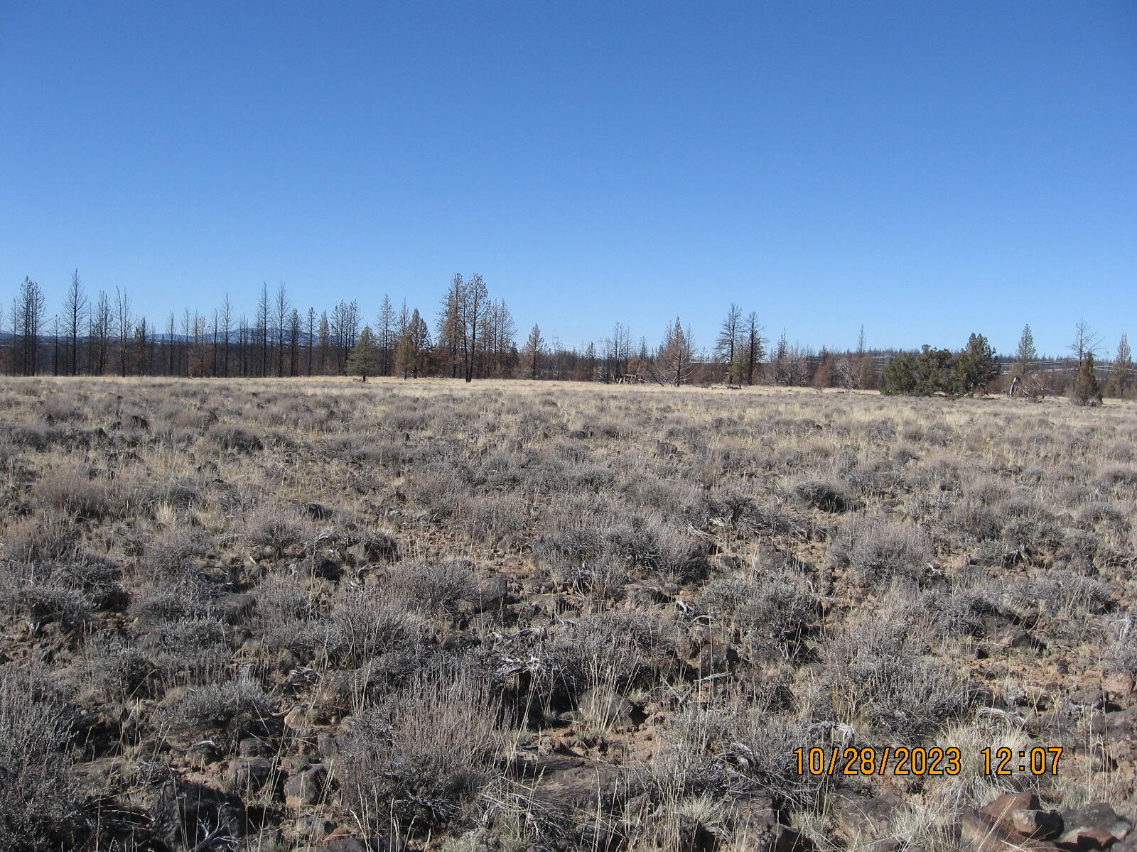 Klamath Falls Forest Estates -Sycan Unit - Land