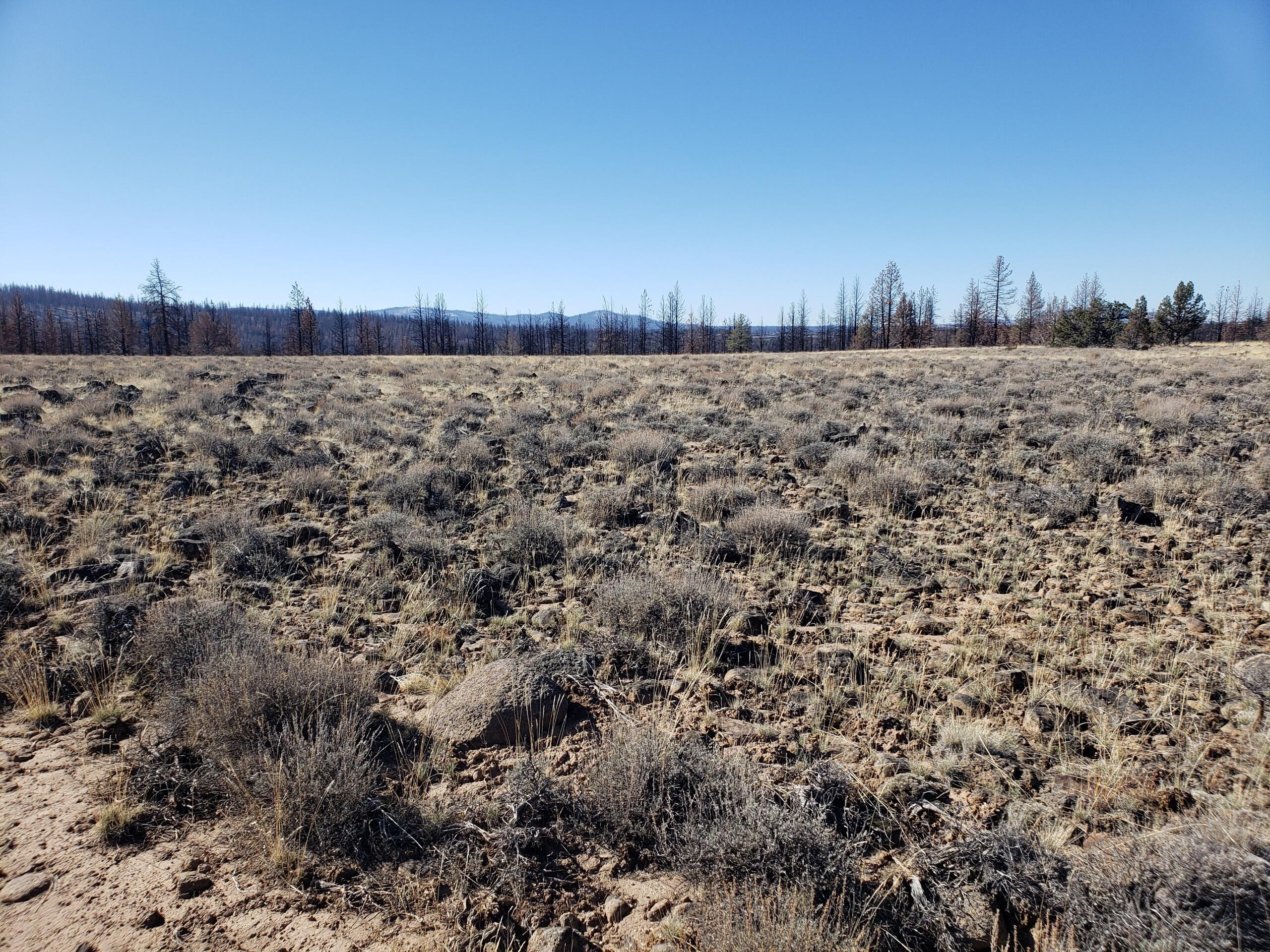 Klamath Falls Forest Estates -Sycan Unit - Land
