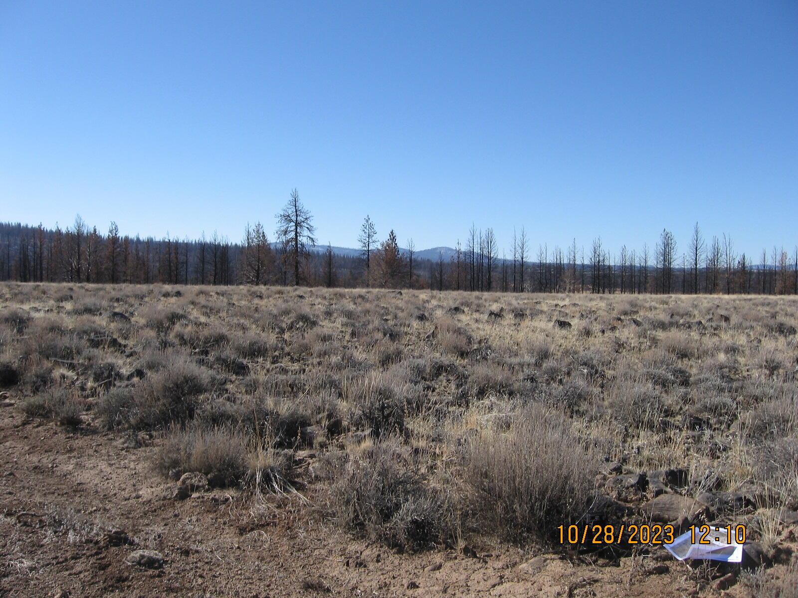 Klamath Falls Forest Estates -Sycan Unit - Land