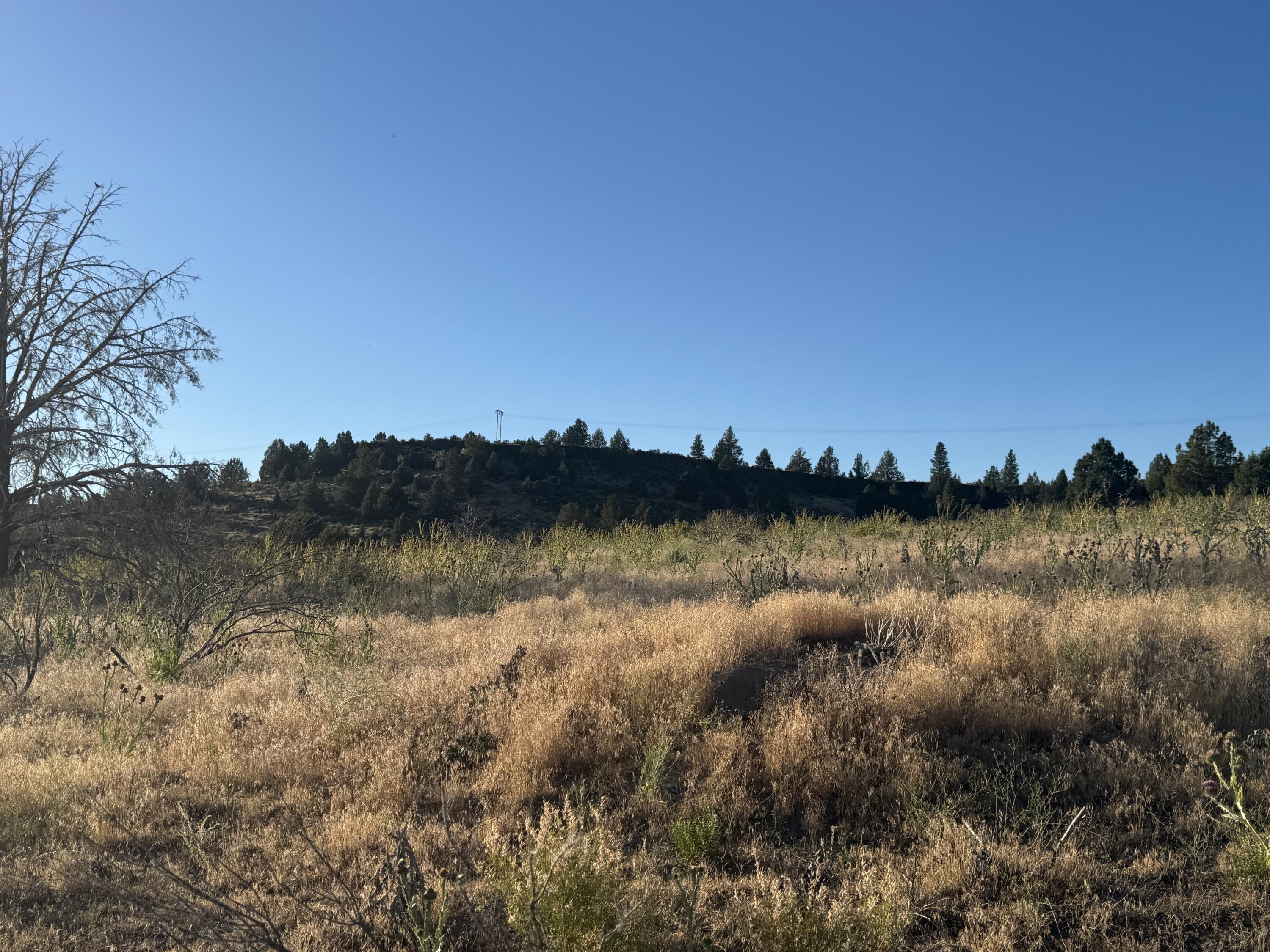 Nimrod River Park - Land