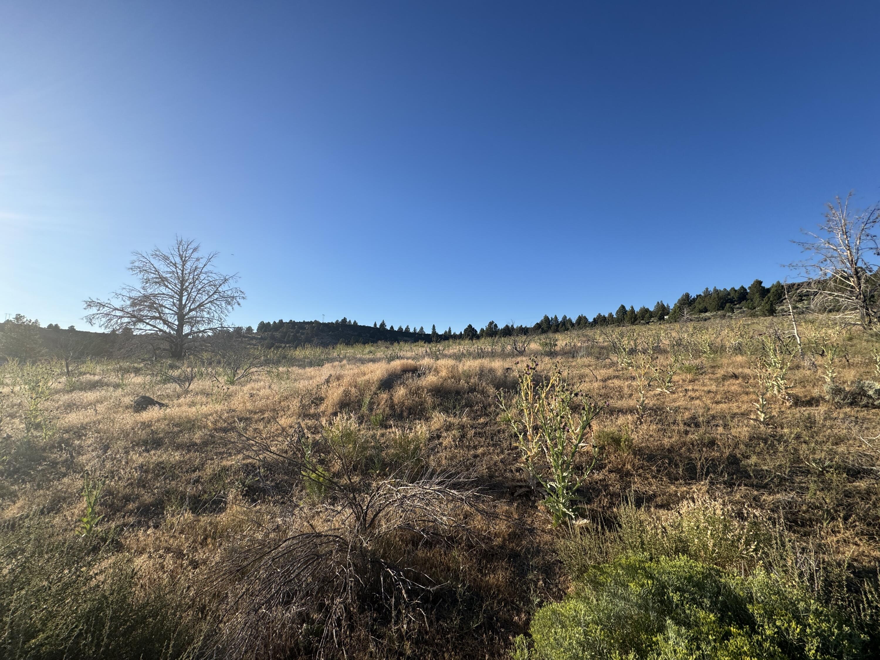 Nimrod River Park - Land