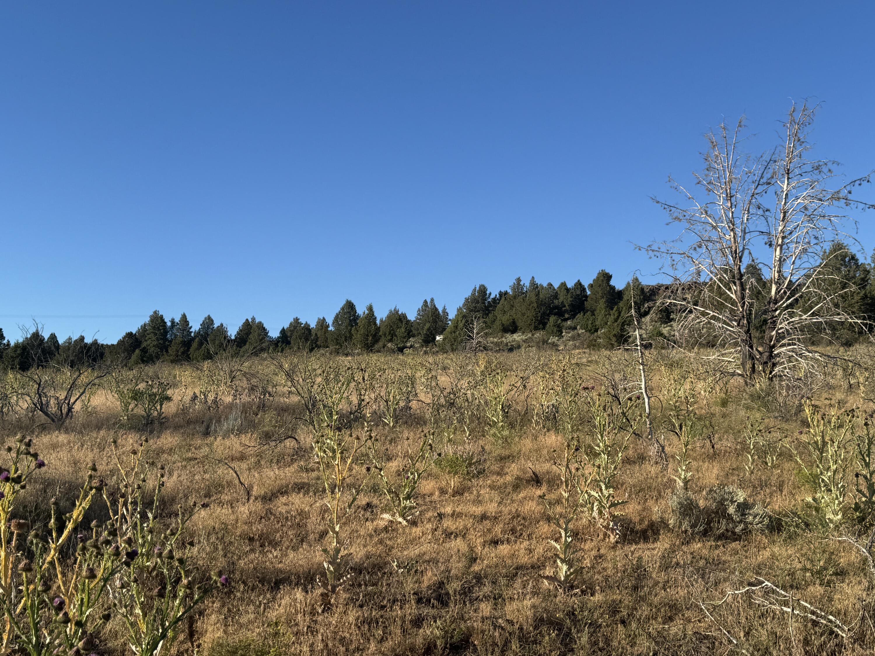 Nimrod River Park - Land