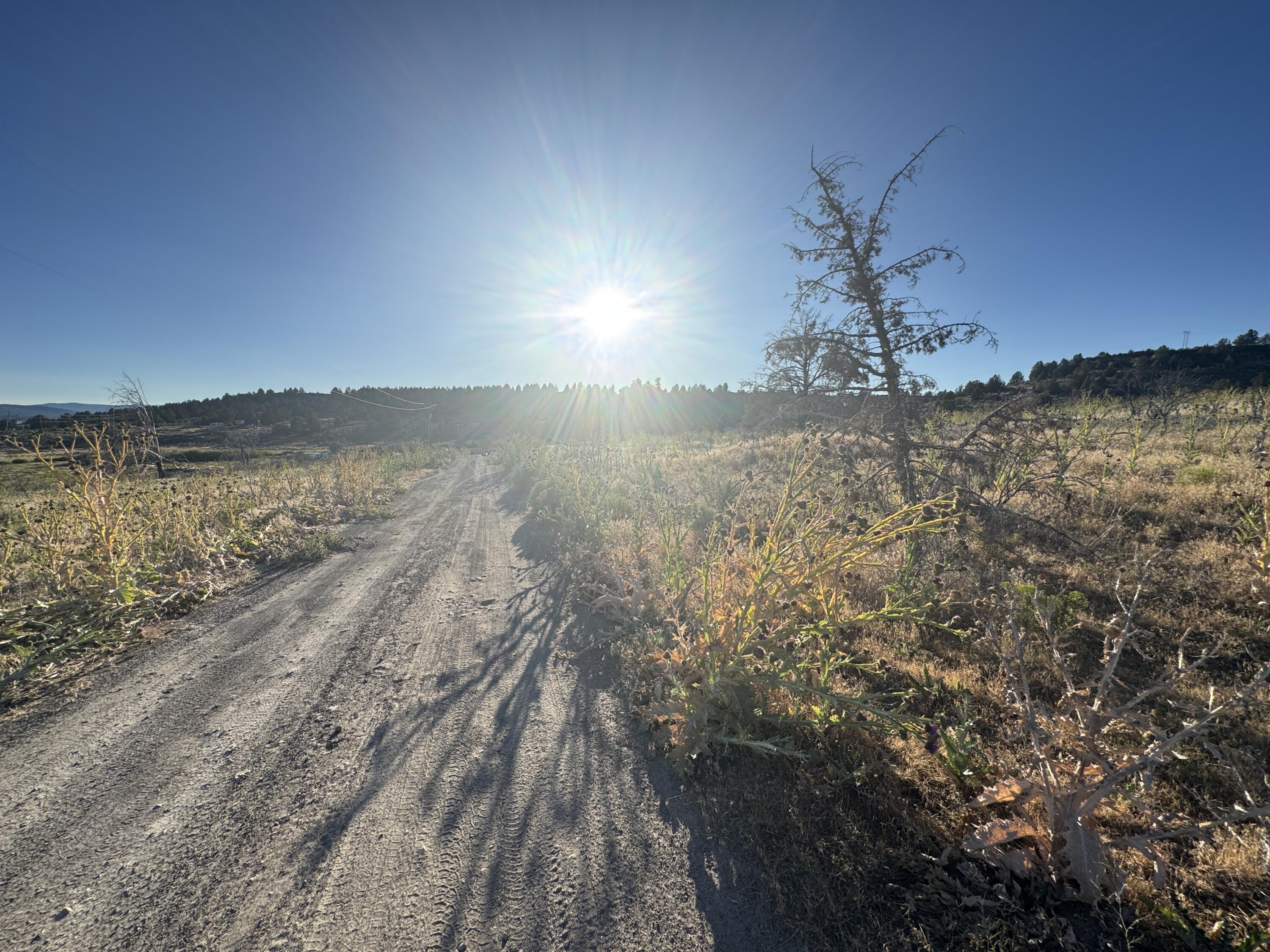 Nimrod River Park - Land