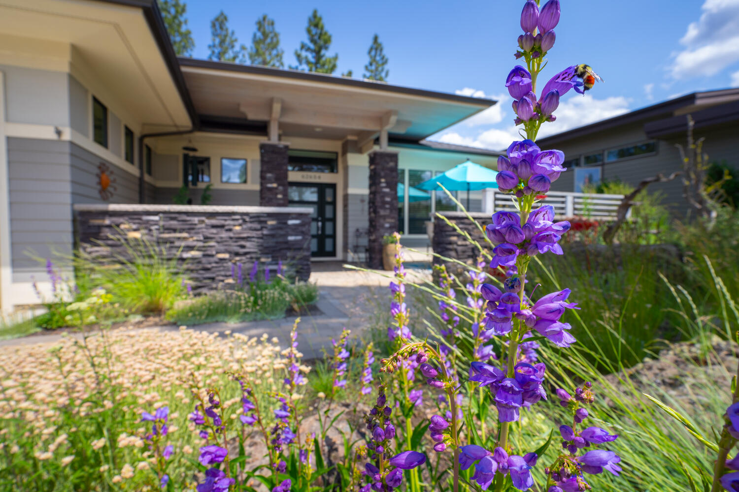 Three Pines Ridge - Residential