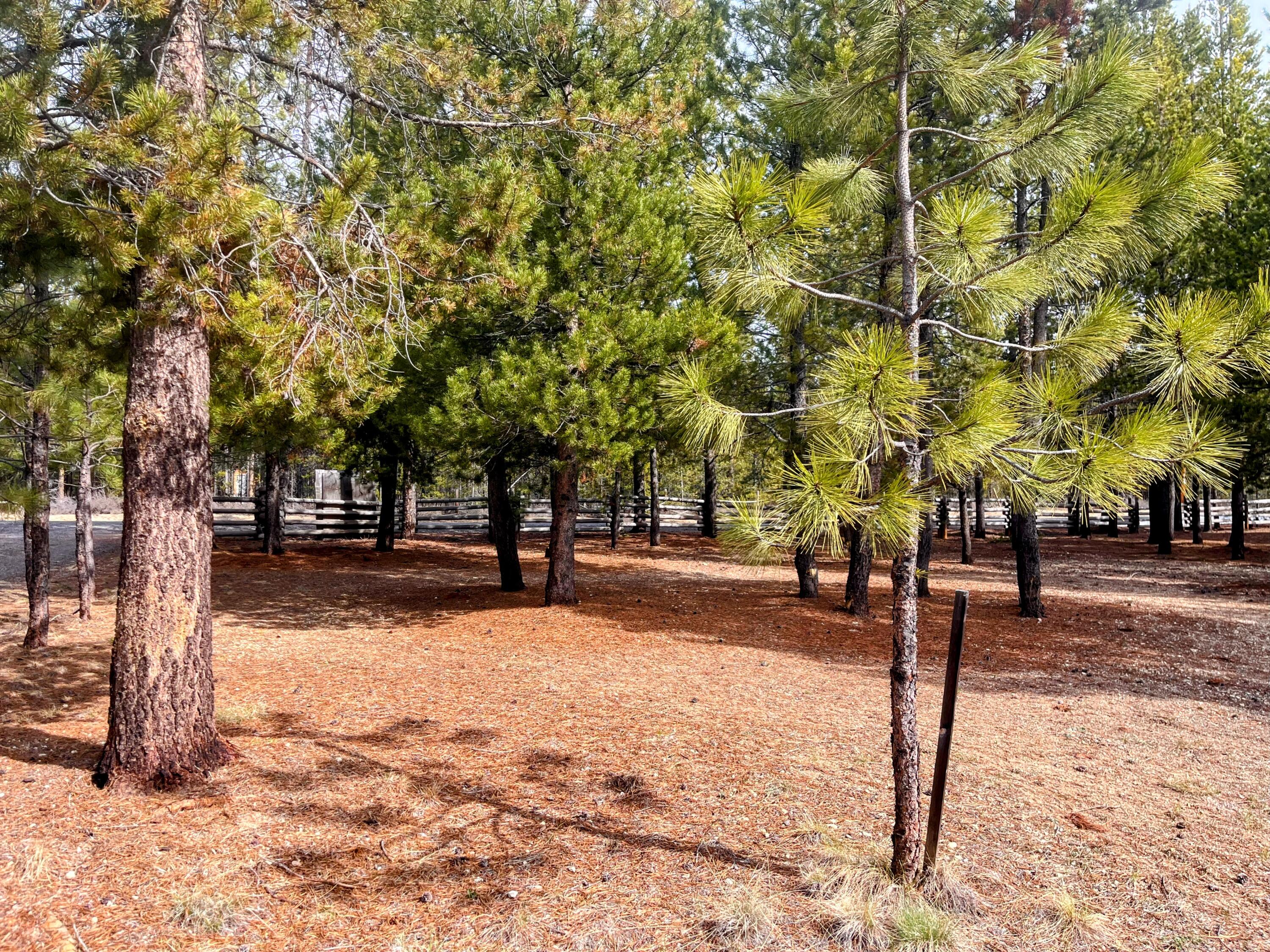 Two Rivers North - Residential