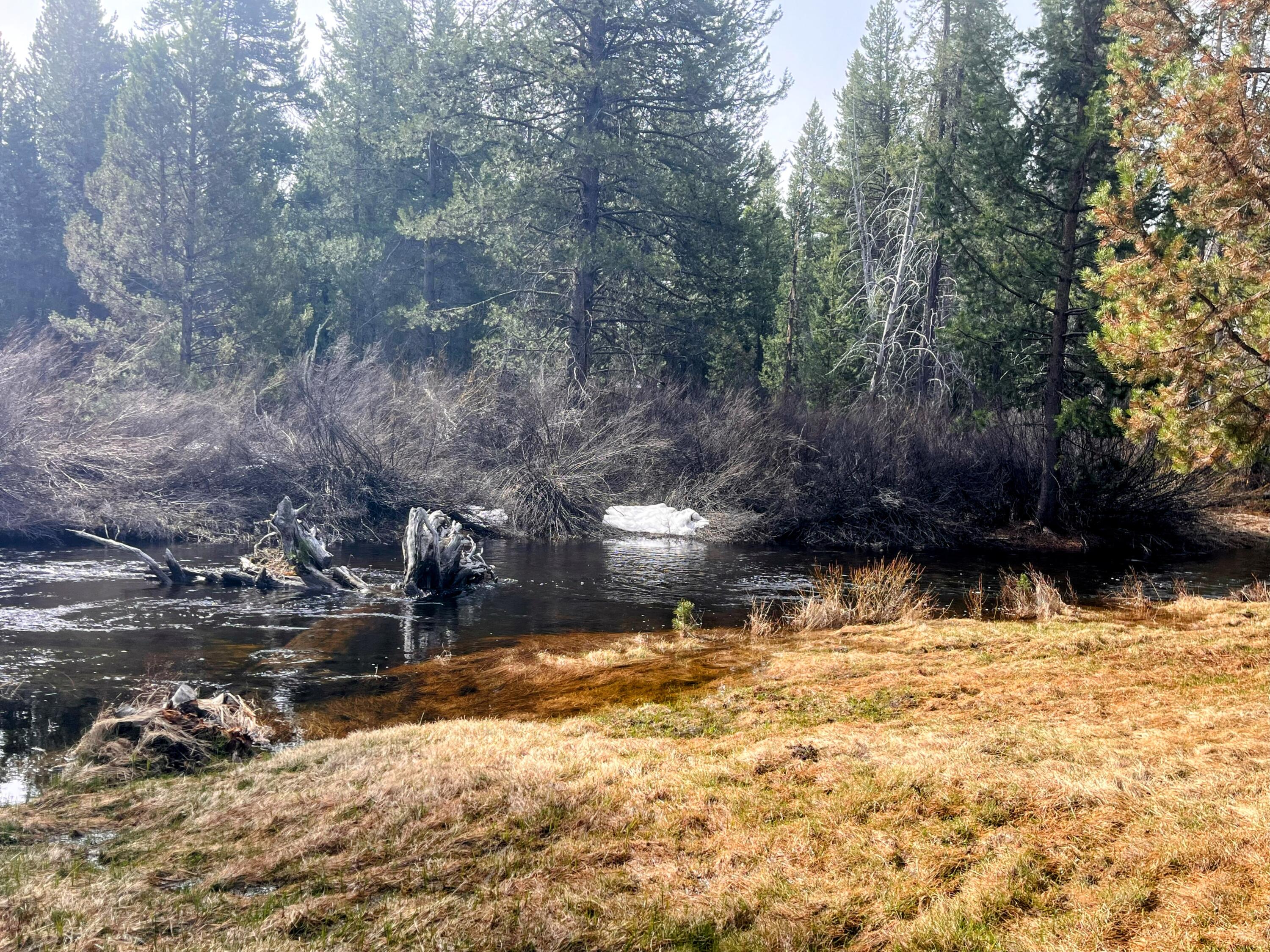 Two Rivers North - Residential