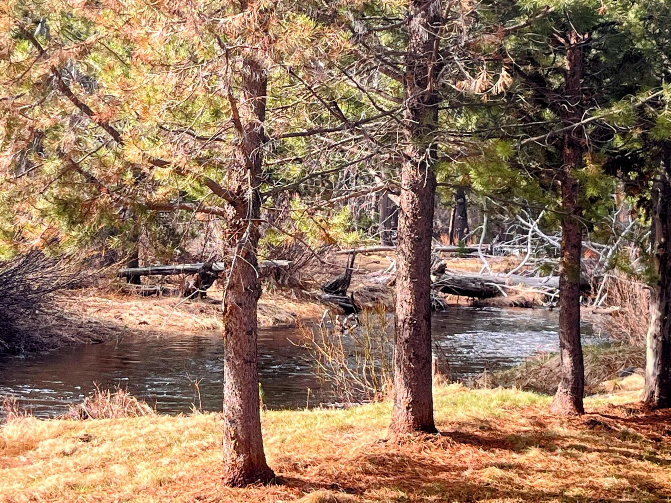 Two Rivers North - Residential