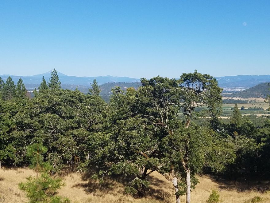 Large view lot ready to build your perfect dream home!  Panoramic views of the Rogue Valley and mature trees.  Close to town, but with a rural feel.  This lot comes with city water, city sewer, natural gas and electric at the property line.  This subdivision does not have an HOA.  Other lots available too!  Photos are for illustrative purposes only.  List agent and seller are related.