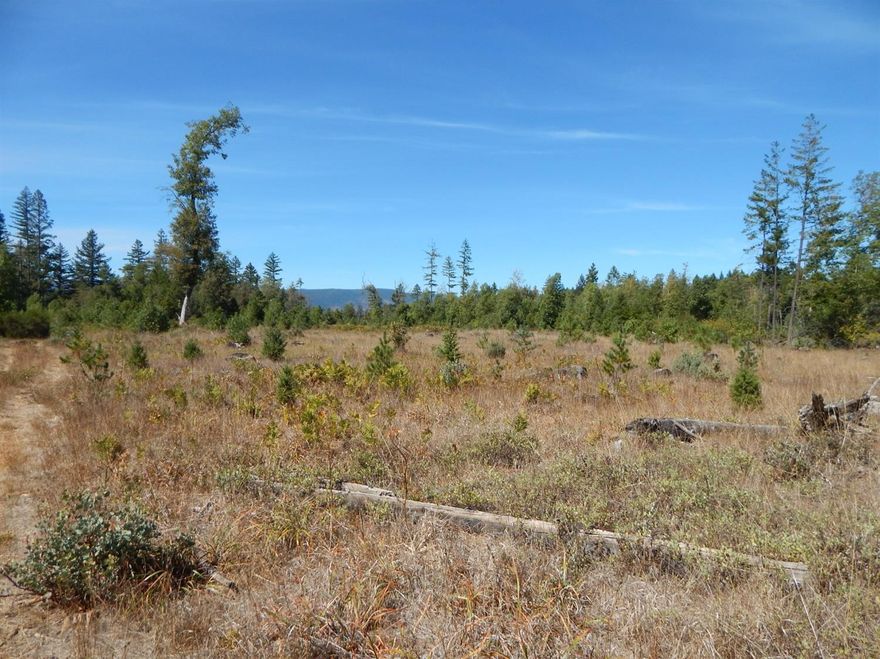 The historic Pfefferle property could be yours! Originally settled under the Homestead Act in 1889, it has been closely held by the Pfefferle family until now. First time on the market, this 39.08 acre parcel, zoned FC, has a lot of history. You could situate your dream home where the original log cabin stood overlooking the beautiful meadow below or replace the existing home. Loop driveway with 2 entrances from the road. Well and septic were in place for the home but condition of both is unknown. Level to slightly sloping, the property has been selectively logged and reforested by Rough and Ready forestry professionals. You'll notice lots of healthy little trees throughout the property. There is fascinating history here, which will be happily shared at your request! Just waiting for someone to build their dream home. Property extends to both sides of the road.