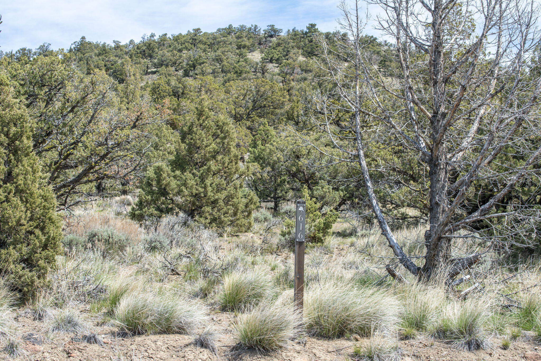 Brasada Ranch - Land