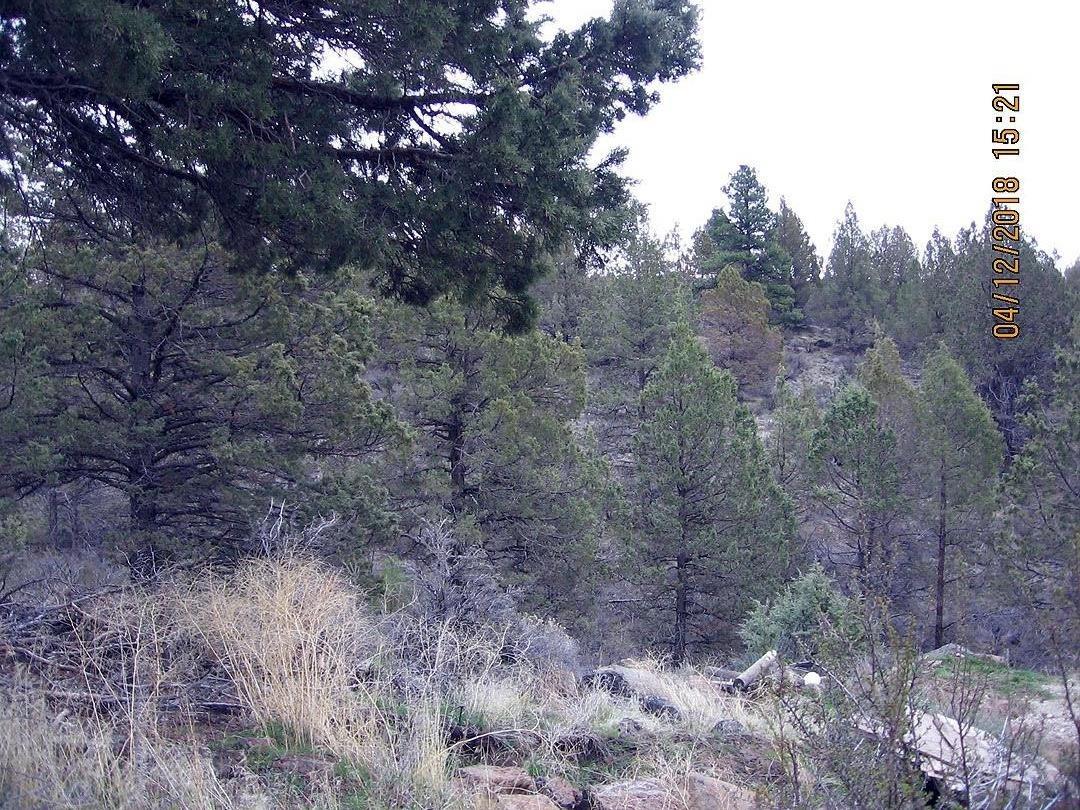 Nimrod River Park - Residential