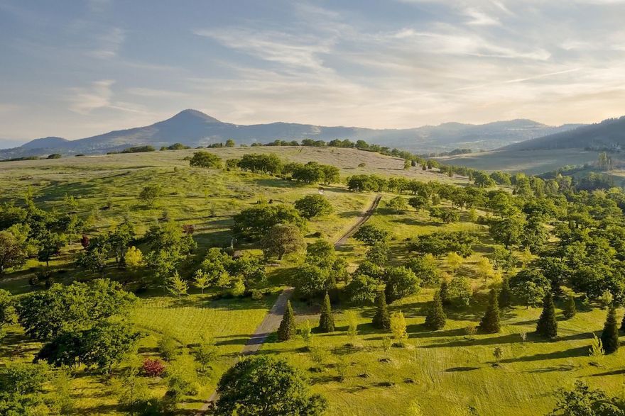 Welcome to LookFar, one of the most premier estate properties in the Rogue Valley, w/pride of ownership at every turn. Available for the 1st time in 20+ years, this rolling paradise totals 200+ acres & boasts breathtaking views spanning up & down the Rogue Valley & has 140 species of oaks, pines, spruce, maples, manzanitas, & dogwood plus 30 different Japanese cultivars. As you wind through the property, you see abundant wildlife w/ over 70 species of birds. This homestead allows for a possible dual-family set up, w/impressive home site options on each of the 2 tax lots. Combining both privacy & prestige, this is one of the most sought-after locations in Southern Oregon. This immaculate property allows for miles of walking trails & is fully deer-fenced to protect the lush vegetation. There are 45.8 acres of irrigation rights & an on-site pond that holds 600,000 gallons of water. A true legacy property, owning the LookFar Estate Property & Arboretum is a rare opportunity!