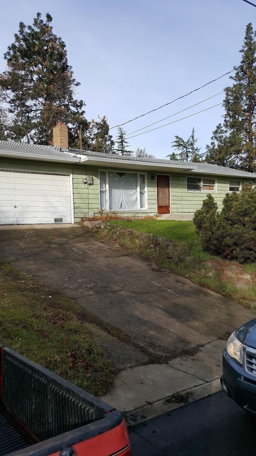 Diamond in the rough.