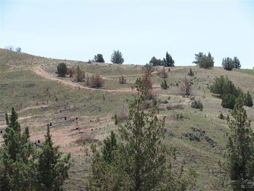 This parcel of bare range land is fenced and only 18 miles from Madras. There are 2 water wells-neither of which are being used. Electricity is to one of them. Property has some recreatonal structures & firepits & has been used as recreation property the past few years. Mostly gentle slope with better grass on the steeper land. Possible owner terms.