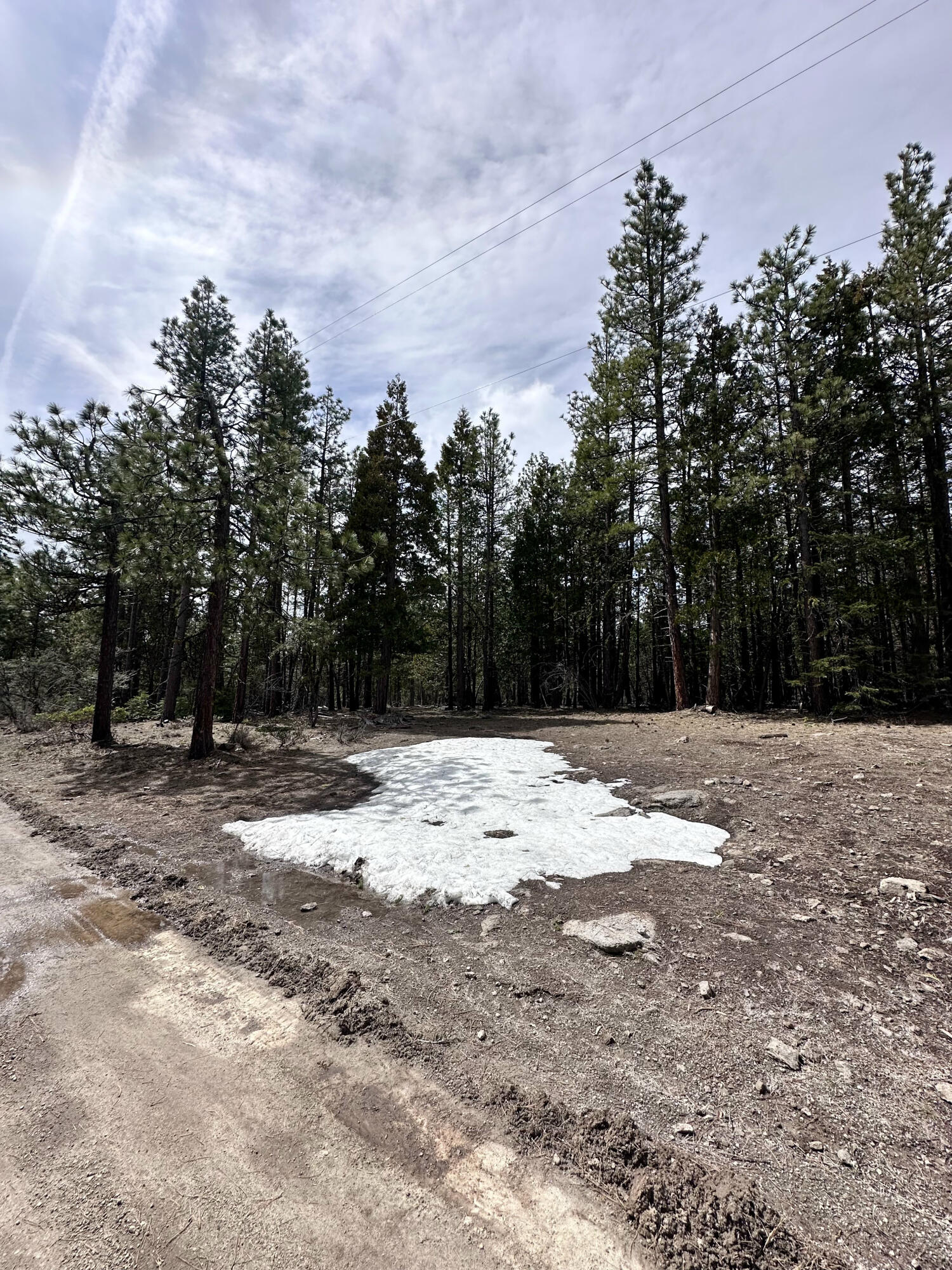 Klamath Falls Forest Estates -Hwy 66 Unit -Plat No. 1 - Land