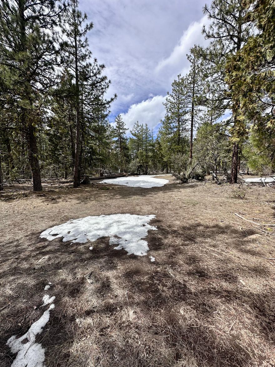 Two nice sized vacant lots totaling 4.7 acres. Both lots back up to BLM land. This could make a great property to build a new home on! Go and see it today!