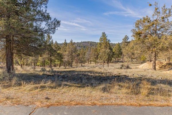 5768 ENGLEMAN SPRUCE WAY, KLAMATH FALLS, OR 97601 - Image 187d0ea38dbbbbeeb0ec12a9355a12d4/3333648206