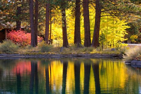 Tiny photo for 60786 Currant Way, Bend, OR 97702 (MLS # 220215352)