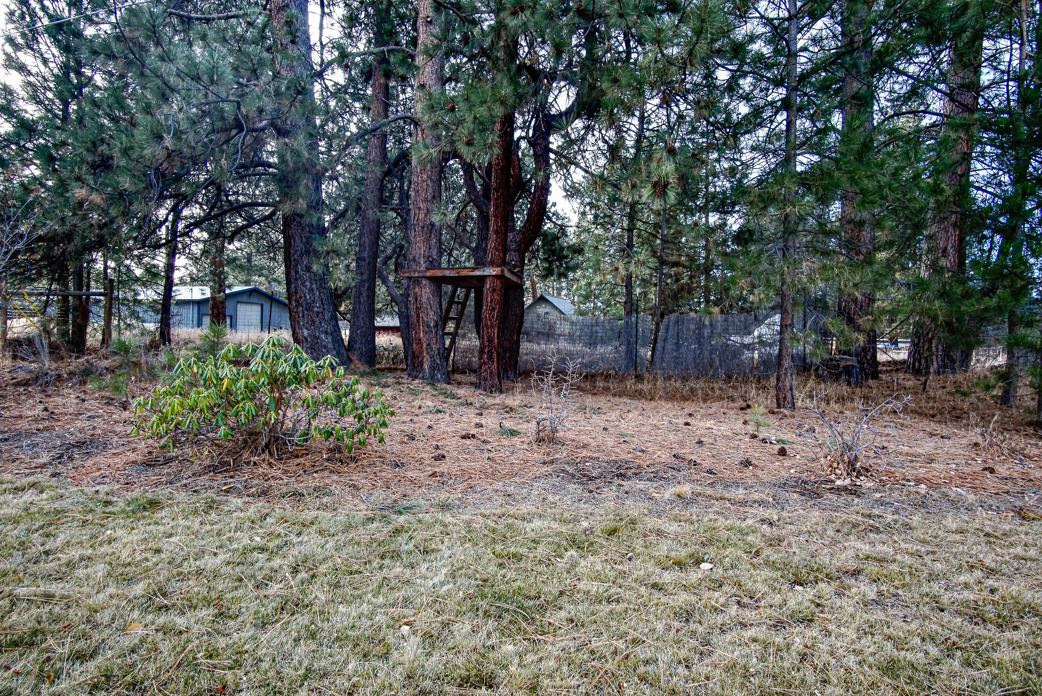 Deschutes RiverWoods - Residential