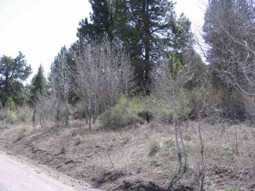 Beautiful View Lot Near The Williamson River With Deeded Access To The River By Way Of Common Area. Perfect Homesite On 1 Acre With Pines And Aspens