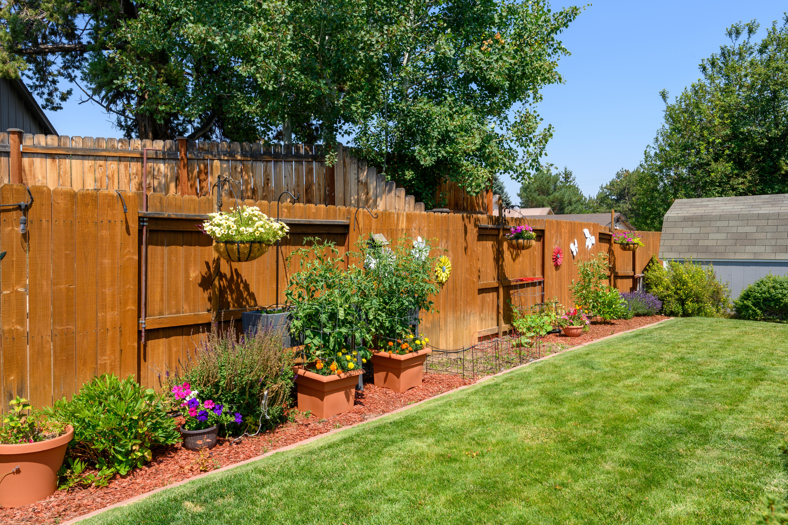 Amber Springs - Residential