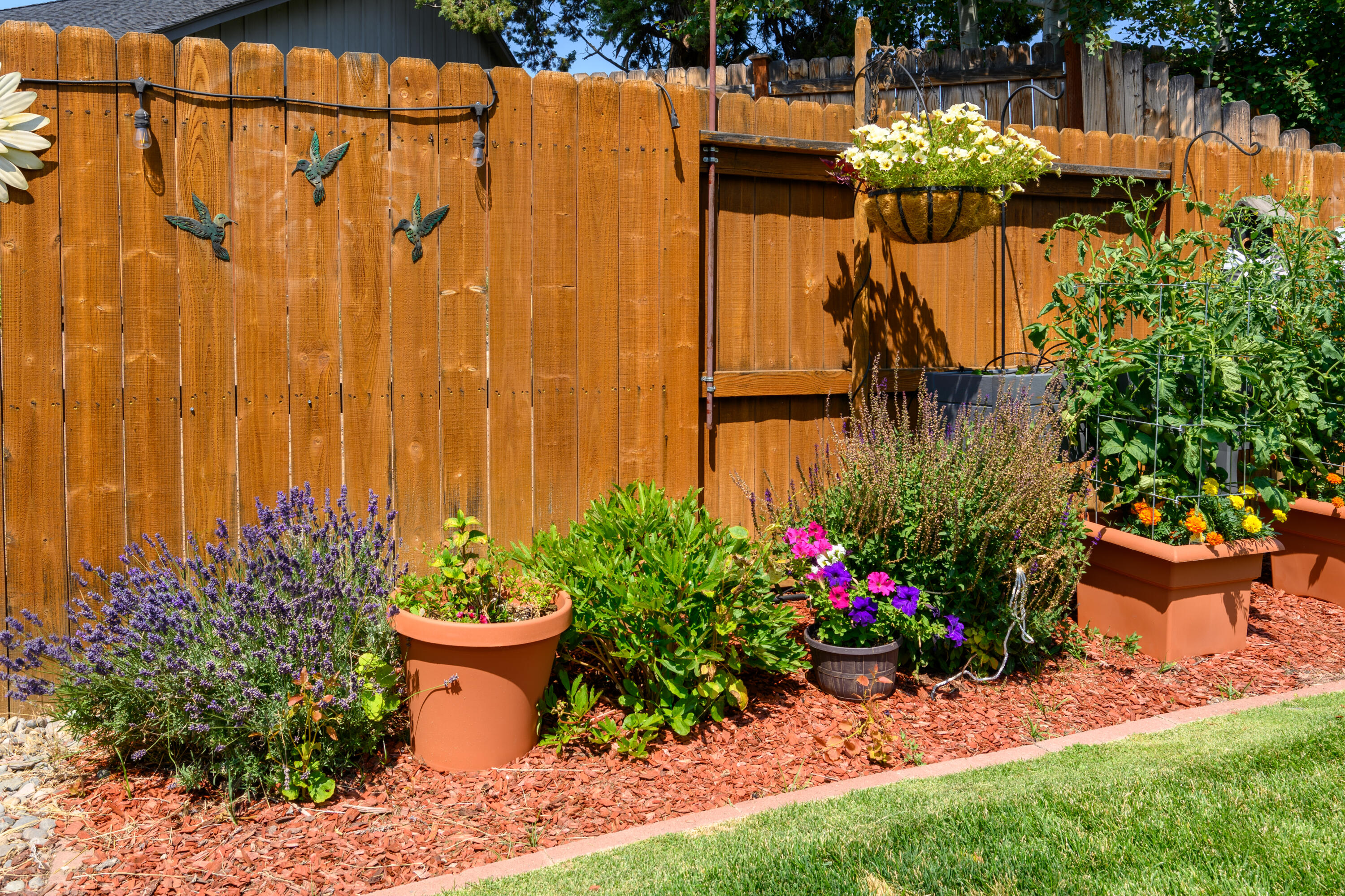 Amber Springs - Residential