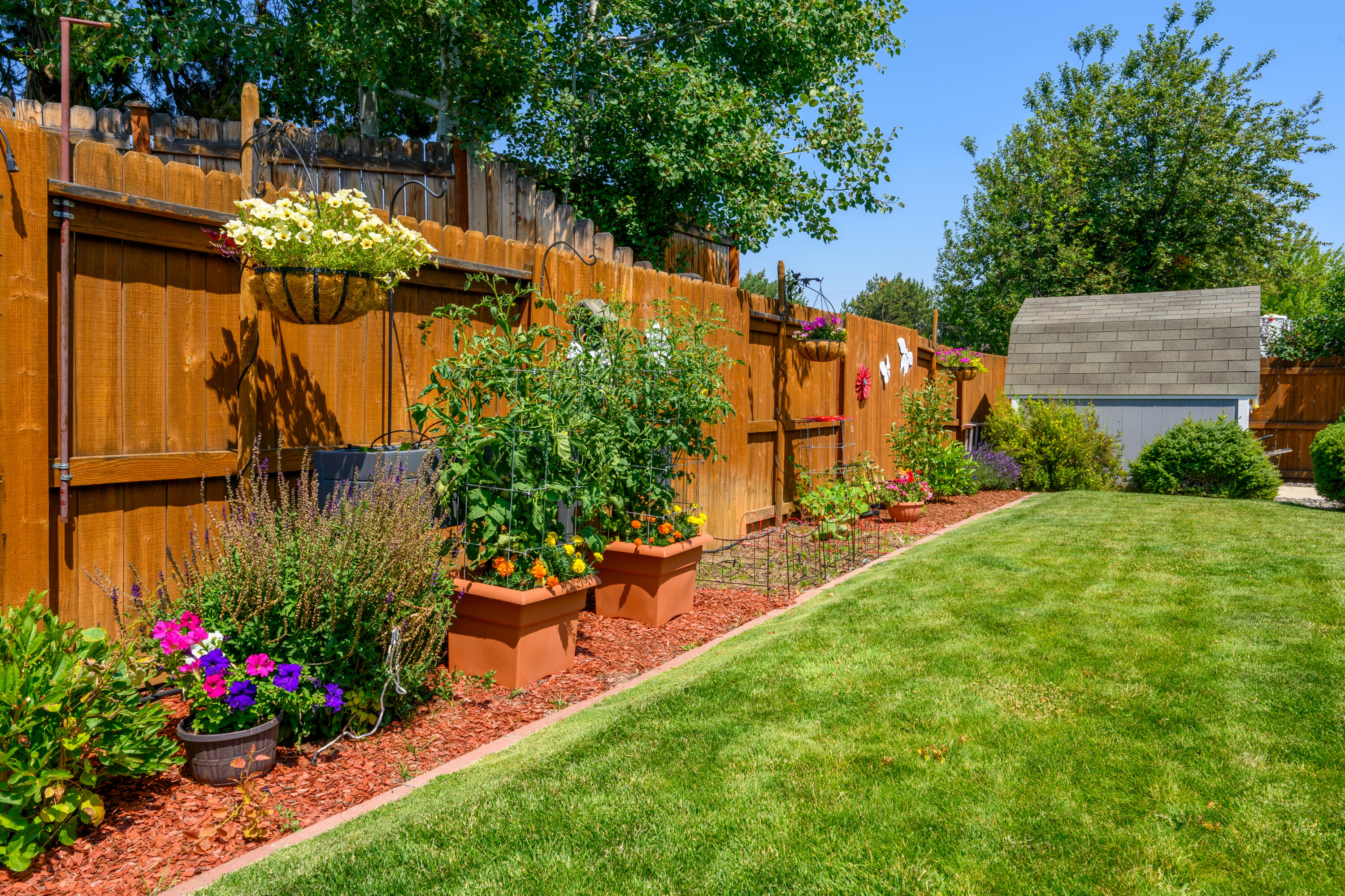 Amber Springs - Residential