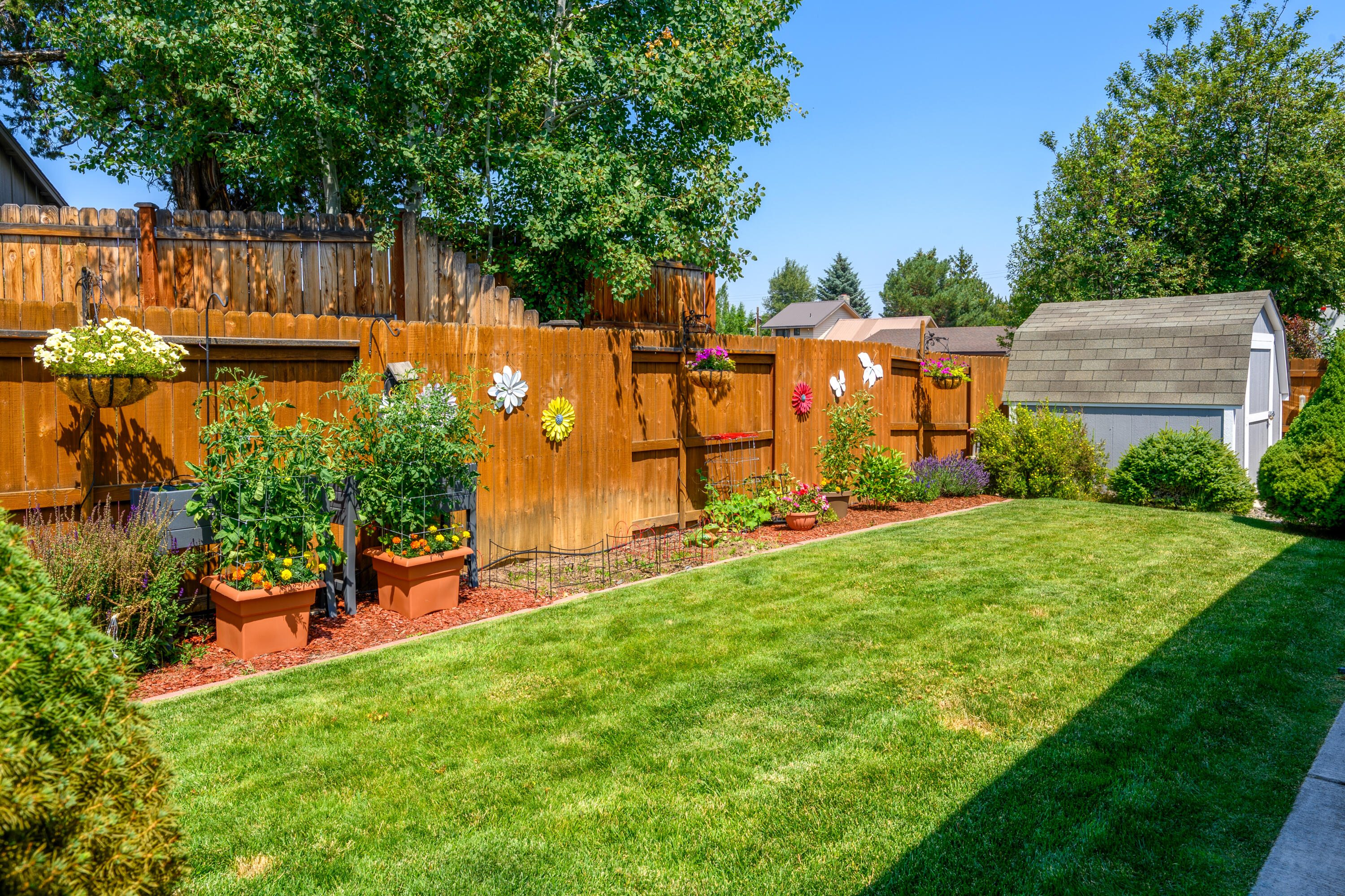 Amber Springs - Residential