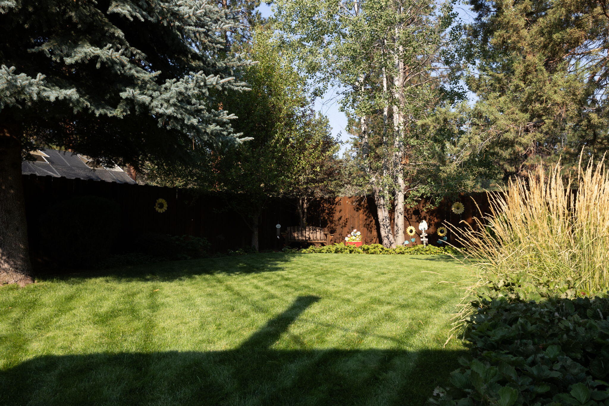 Squaw Back Woods - Residential