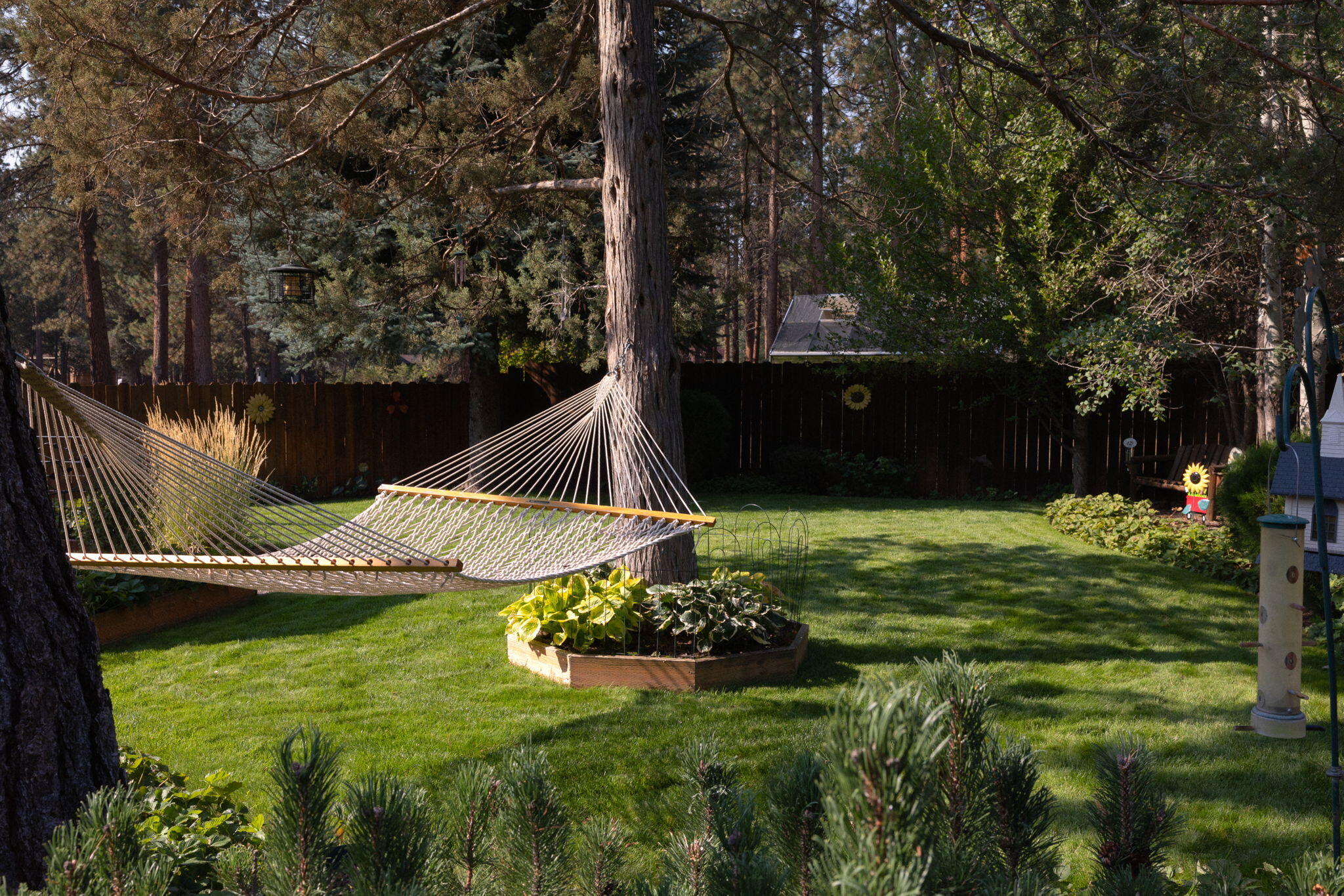 Squaw Back Woods - Residential