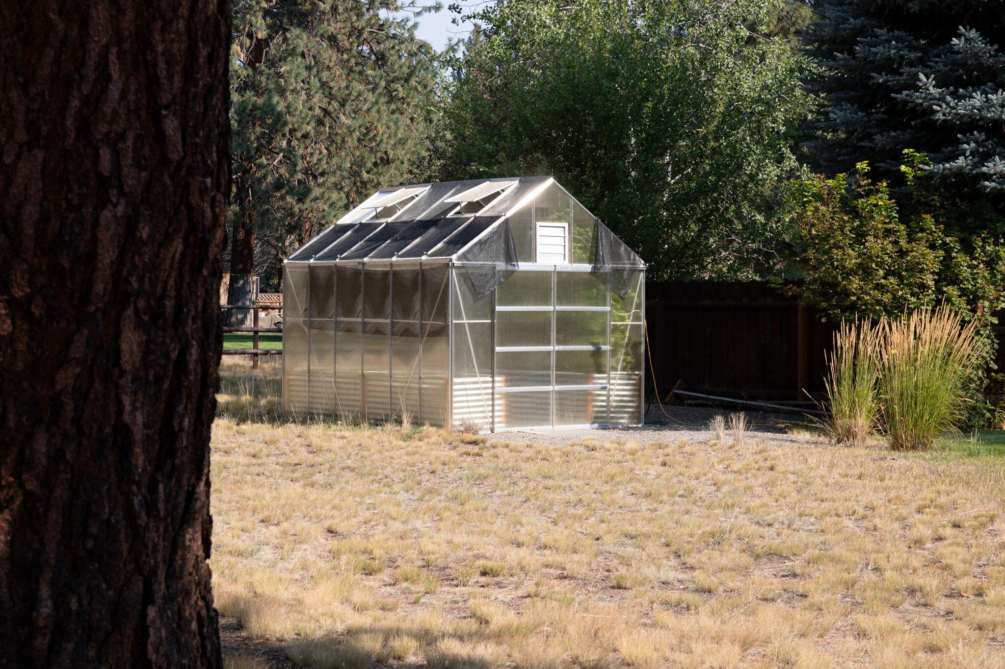 Squaw Back Woods - Residential