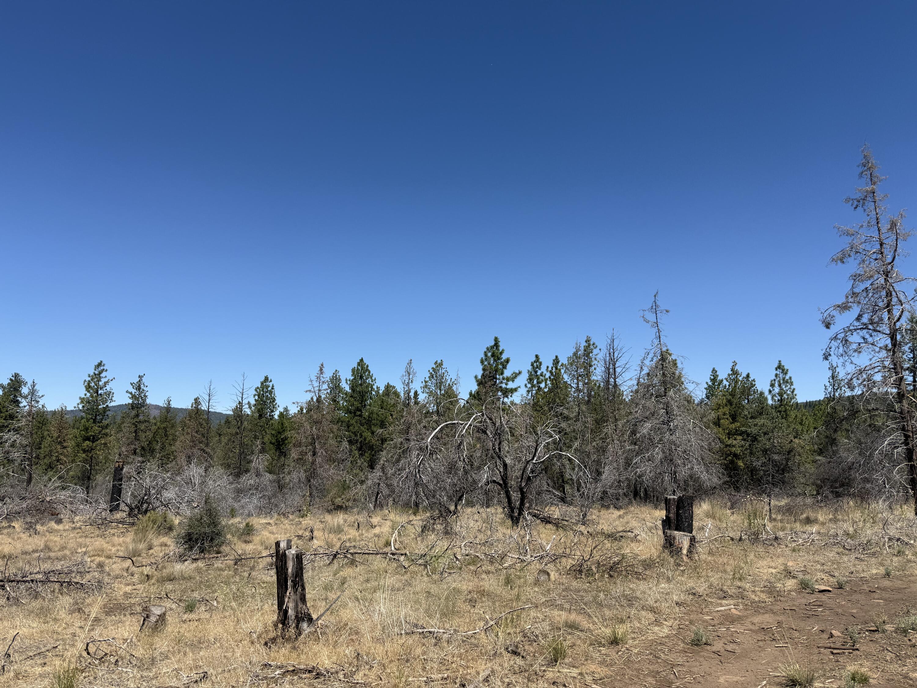 Klamath Falls Forest Estates Hwy 66 Unit Plat 4 - Land