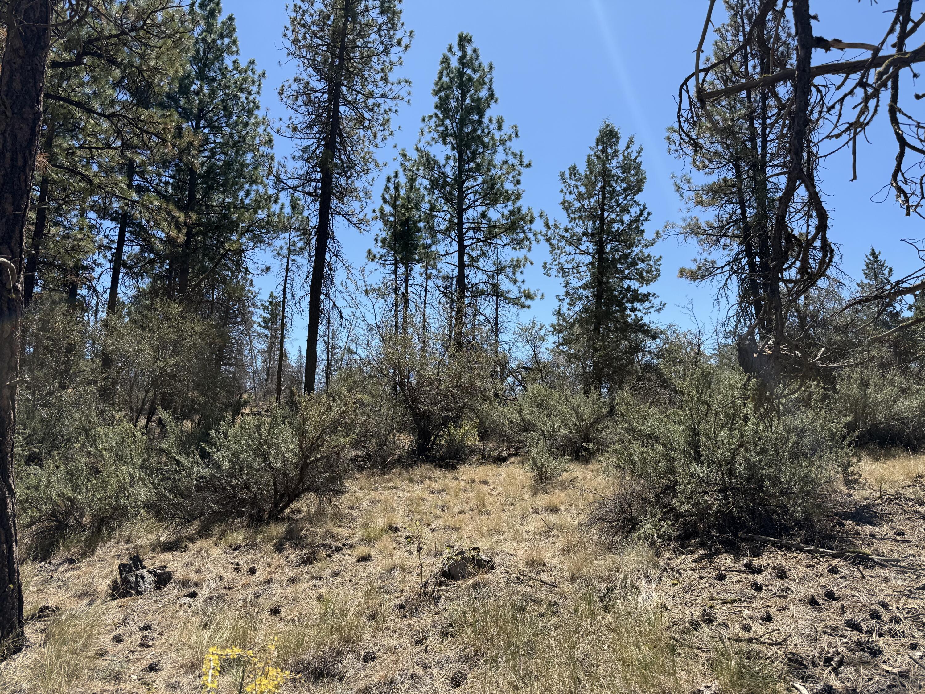 Klamath Falls Forest Estates Hwy 66 Unit Plat 4 - Land