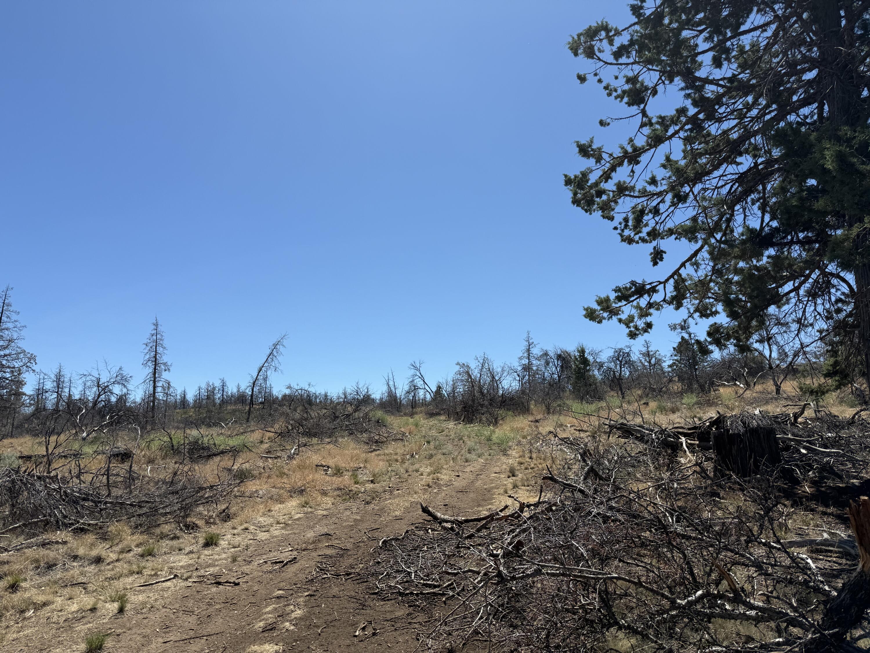 Klamath Falls Forest Estates Hwy 66 Unit Plat 4 - Land