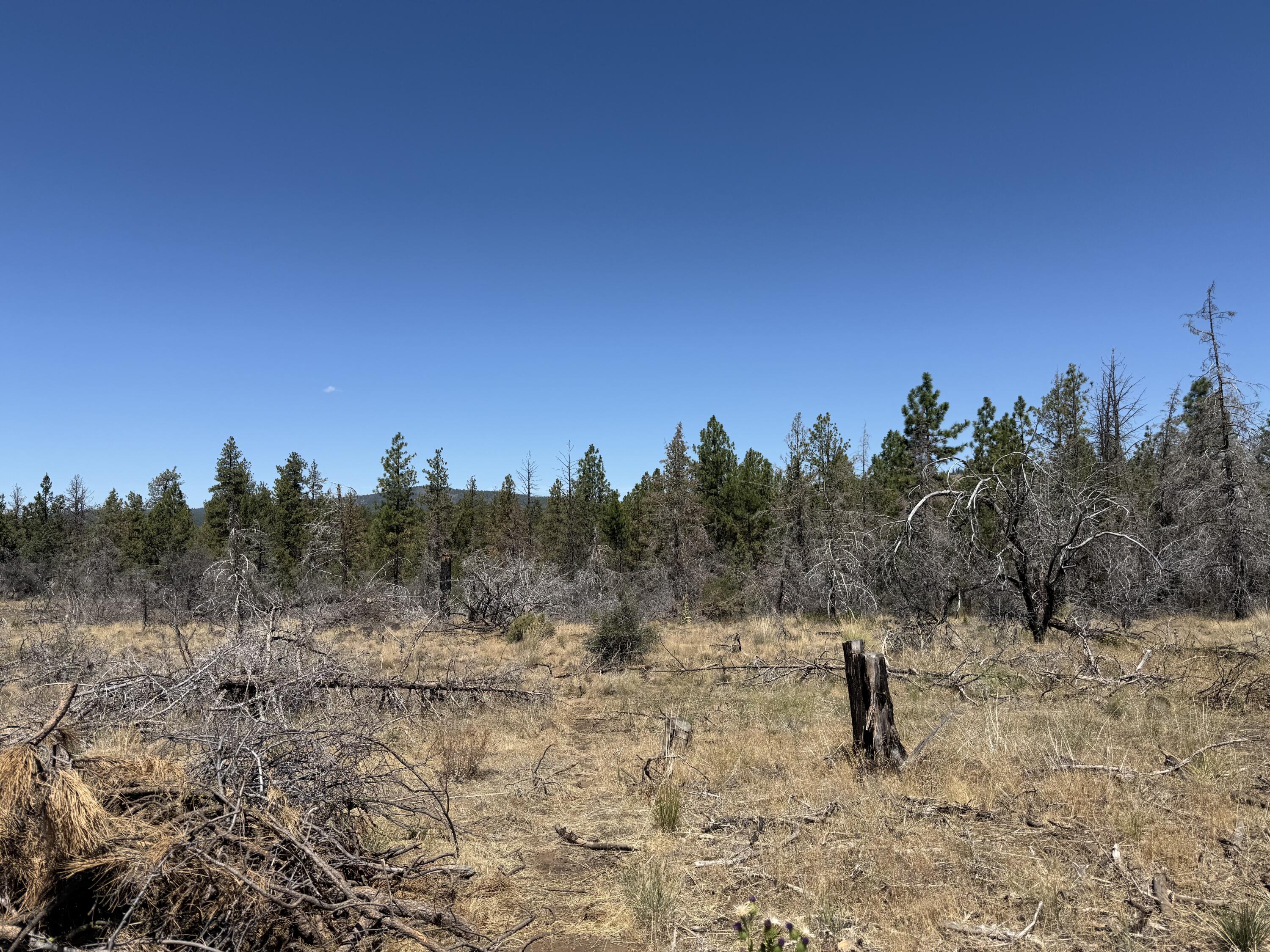 Klamath Falls Forest Estates Hwy 66 Unit Plat 4 - Land