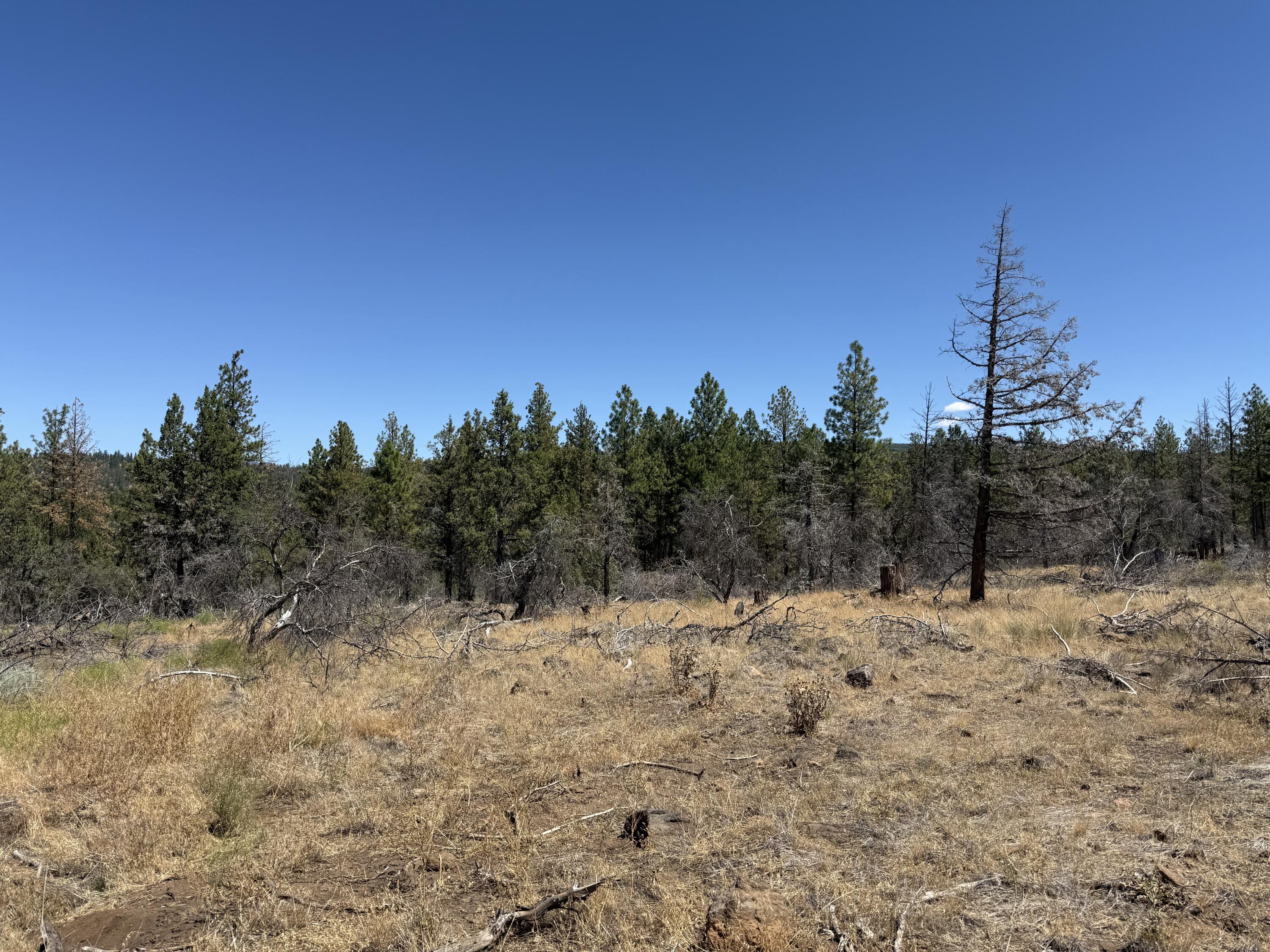 Klamath Falls Forest Estates Hwy 66 Unit Plat 4 - Land