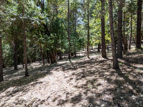 Tiny photo for 1281 N Pinnon Road, Grants Pass, OR 97526 (MLS # 220223719)