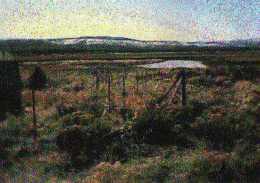 Sprague River - Land