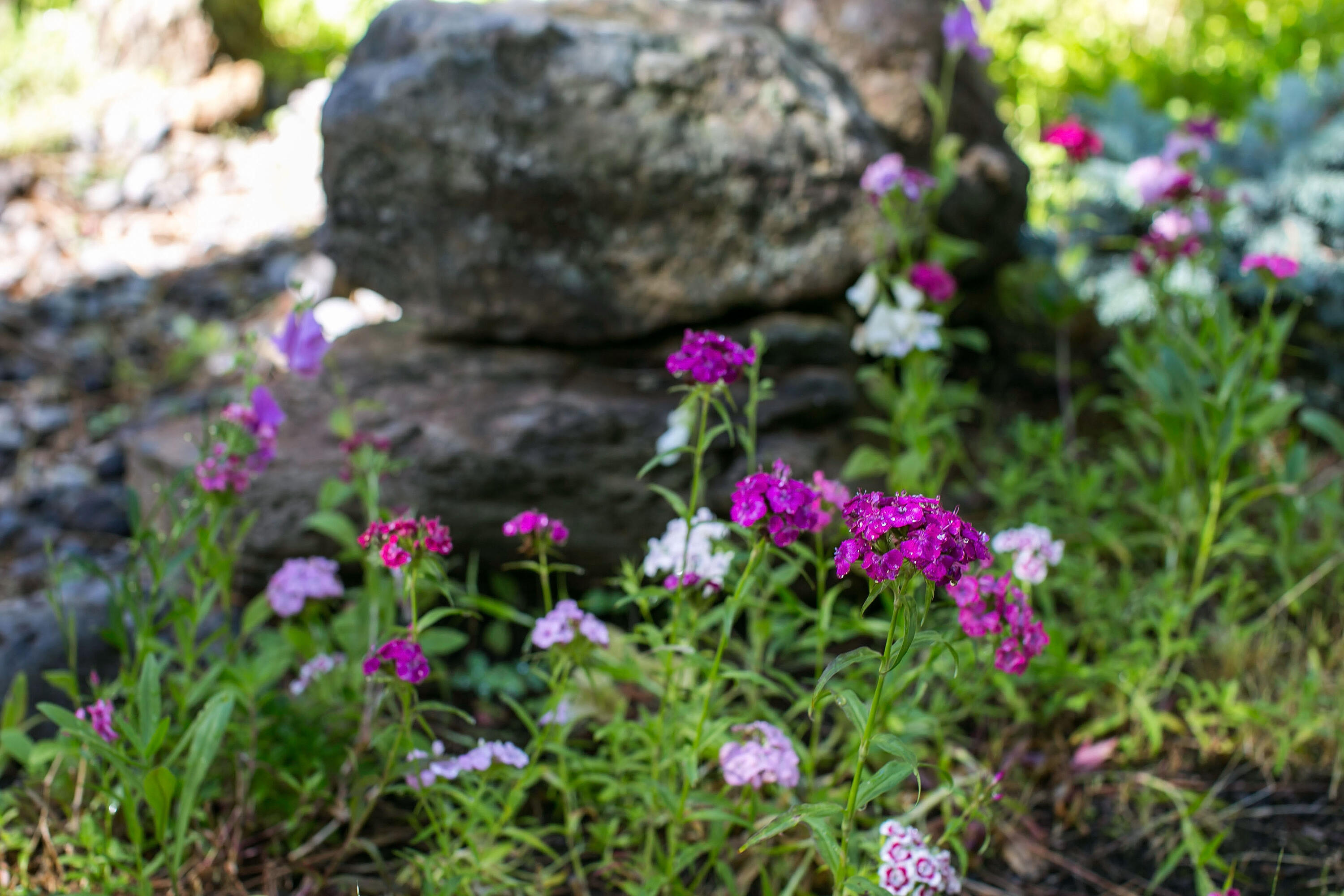 Rock Ridge - Residential