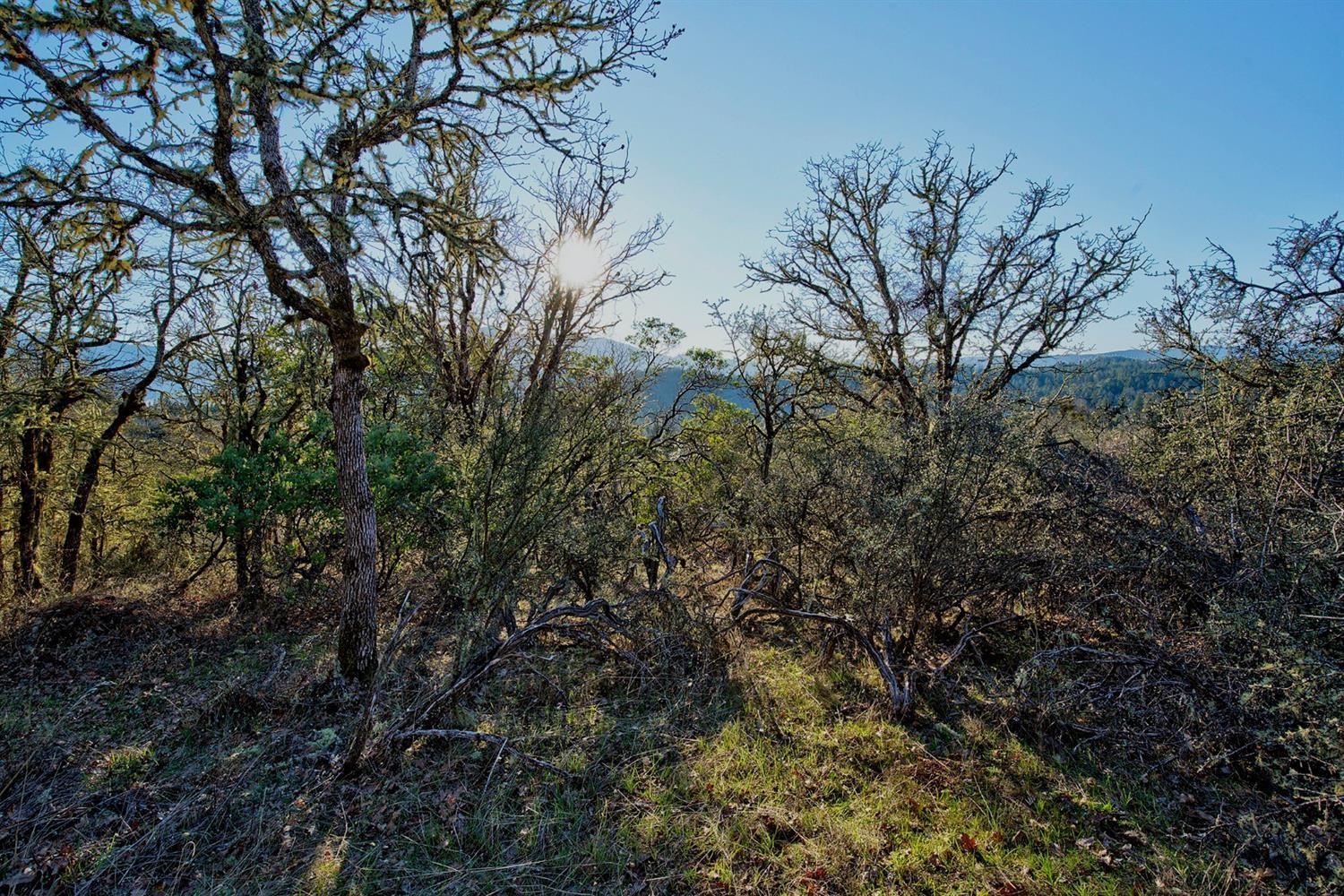 Cloverlawn Heights Subdivision - Land