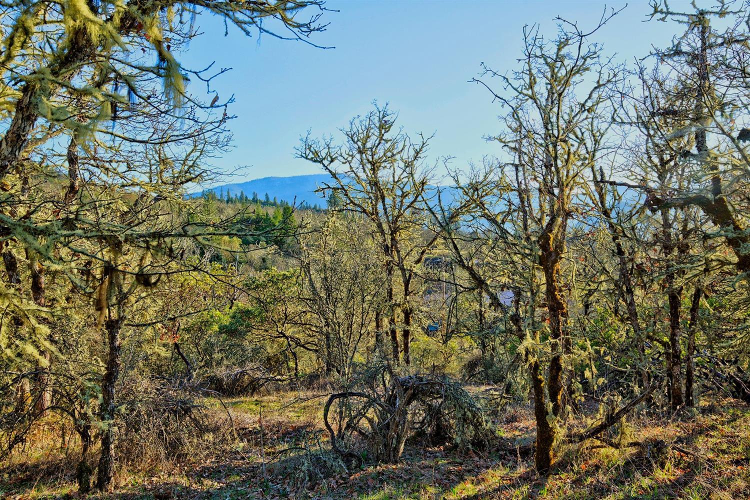 Cloverlawn Heights Subdivision - Land